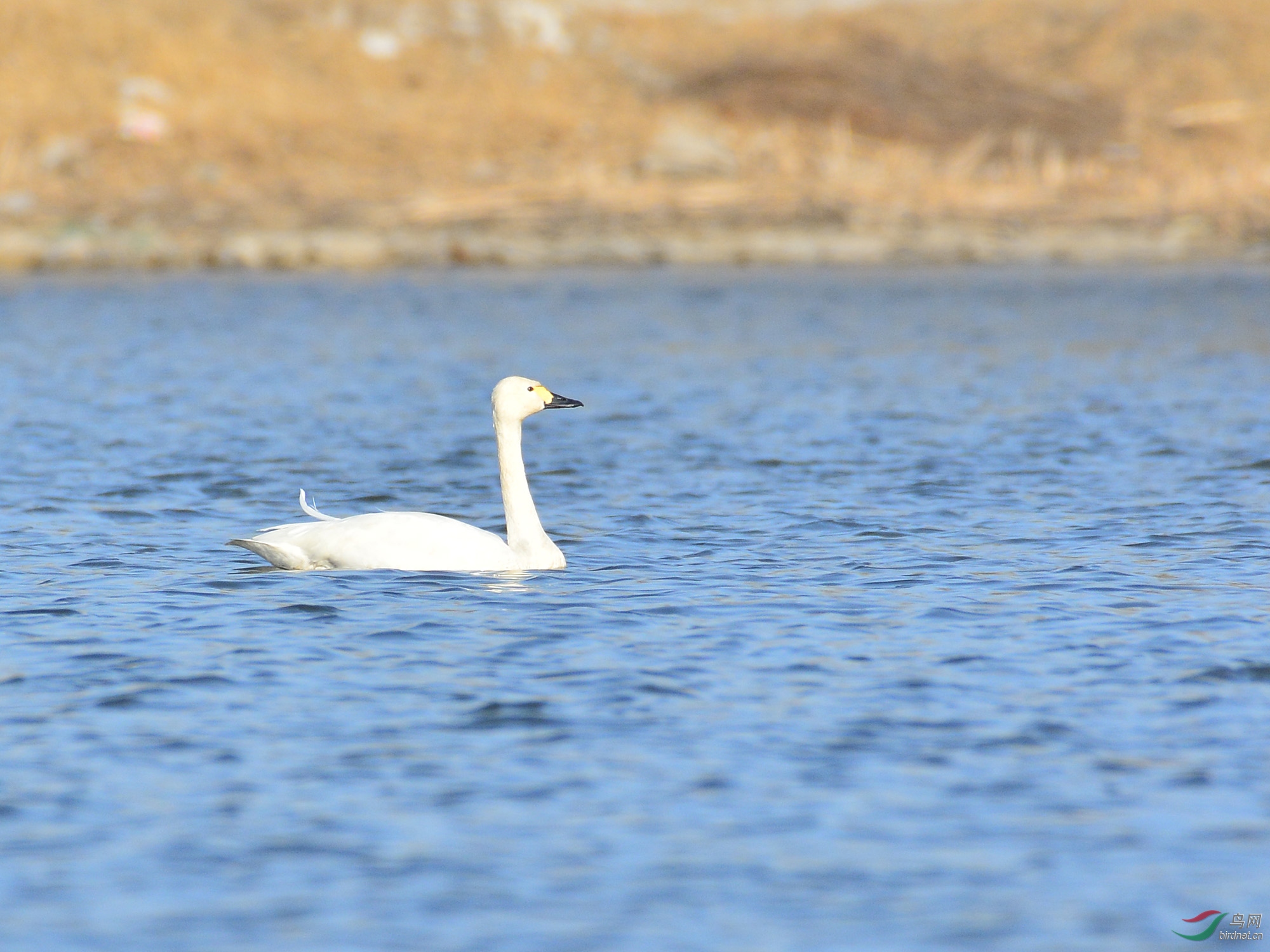 ������Ӱ 332����.jpg