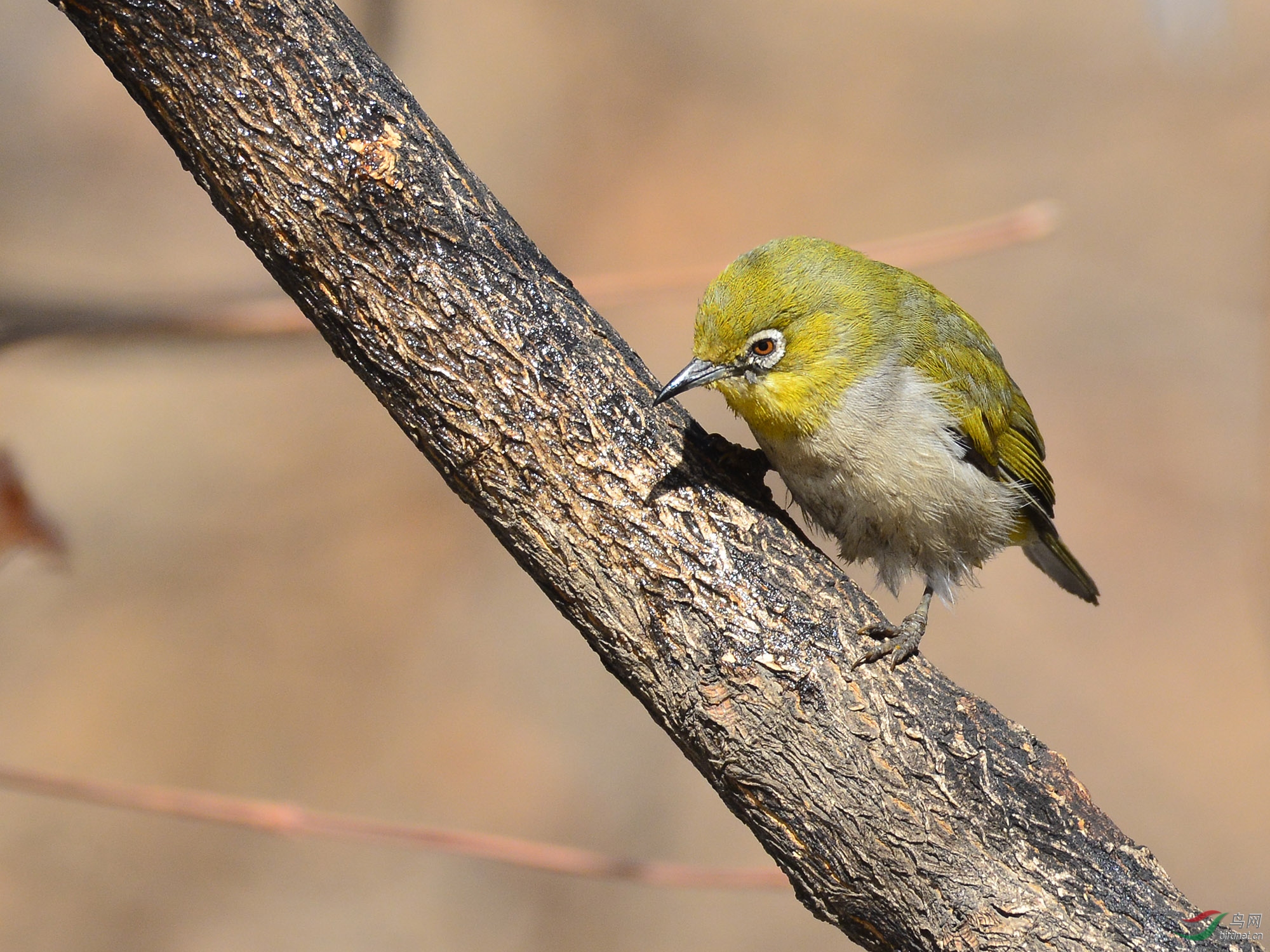 ������Ӱ 1837����.jpg