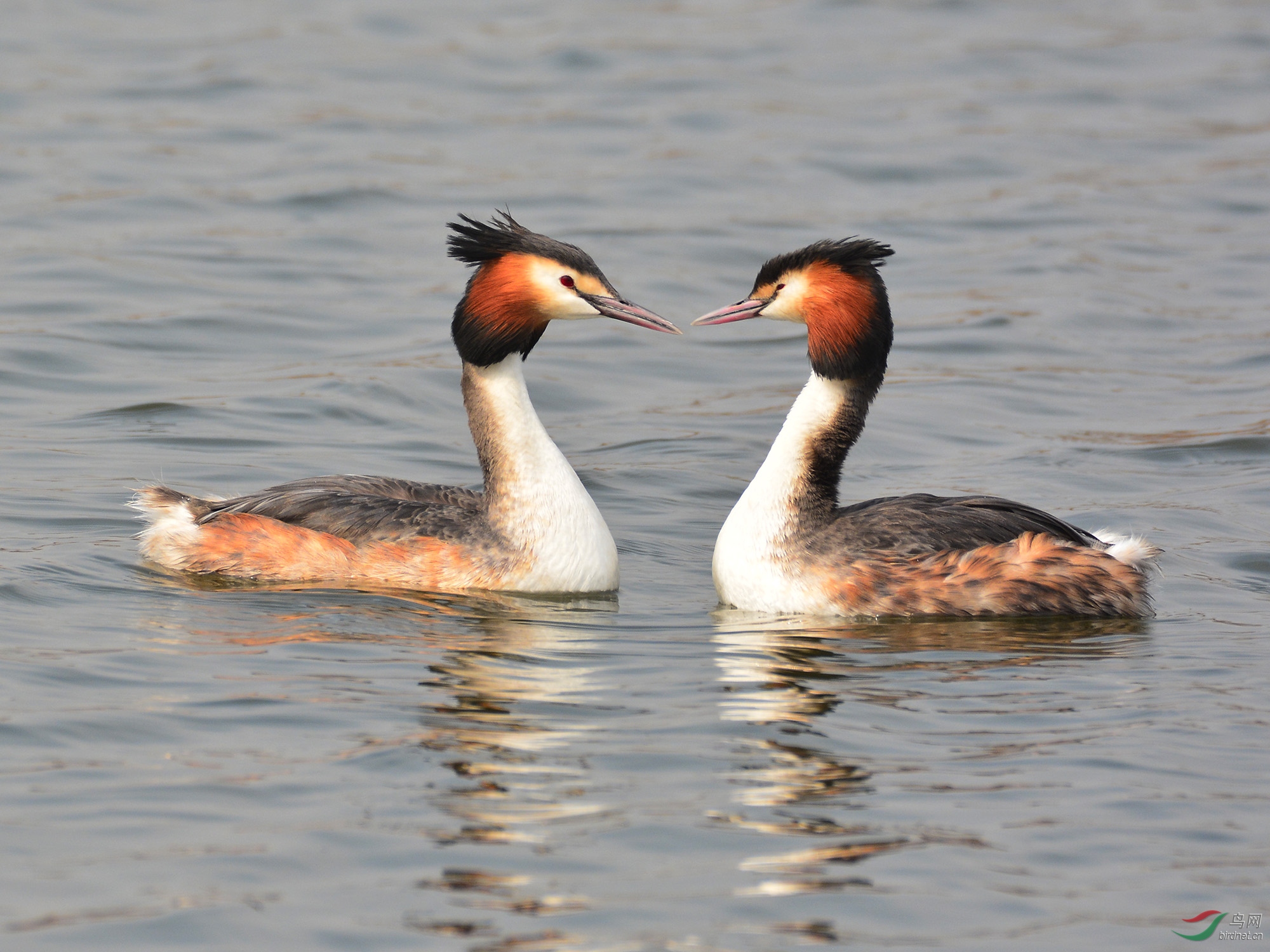 ������Ӱ 2188����.jpg