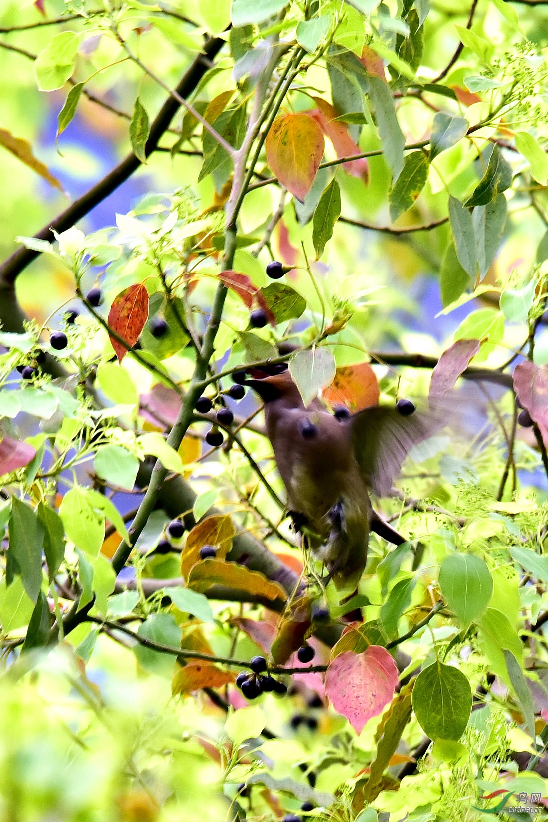 DSC_1240.JPG
