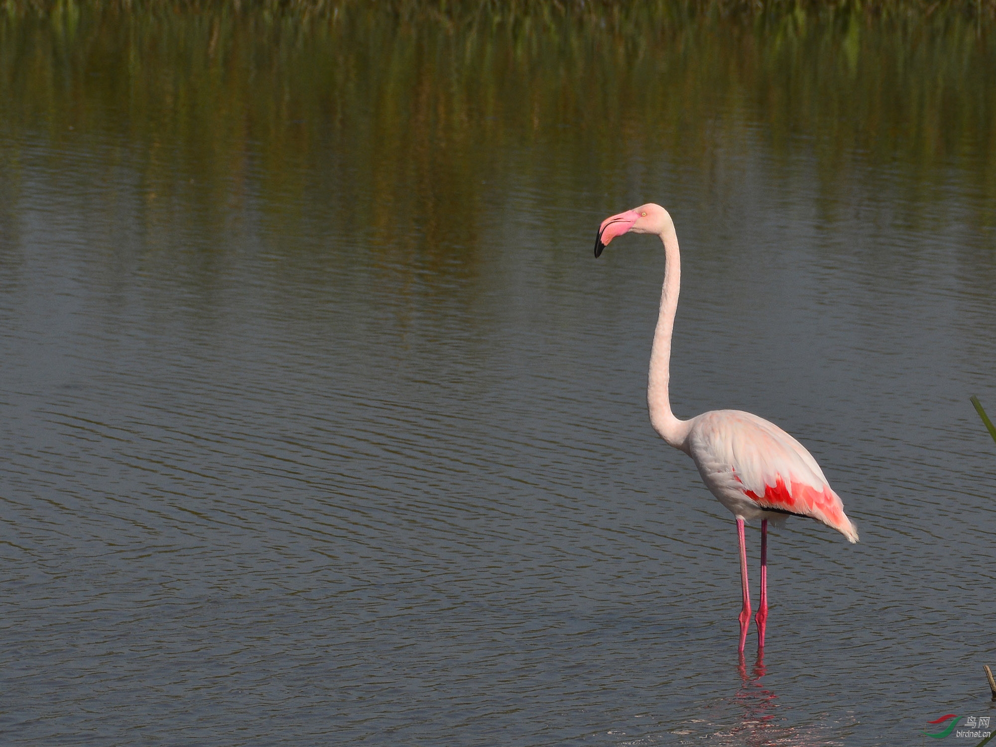 ������Ӱ 637����.jpg