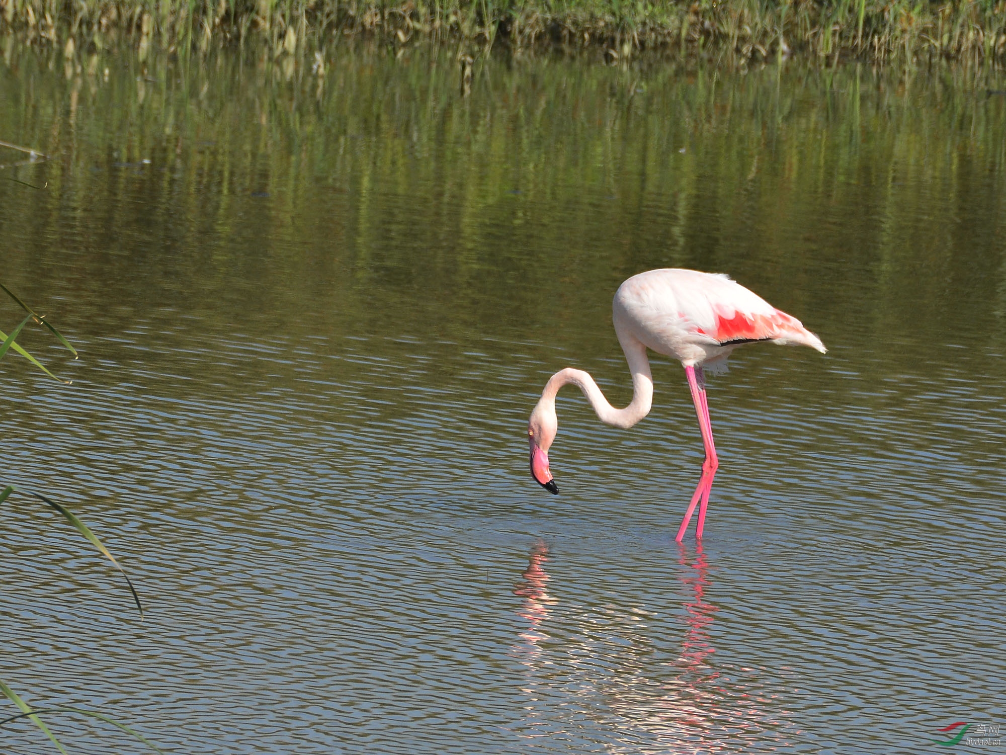 ������Ӱ 894����.jpg