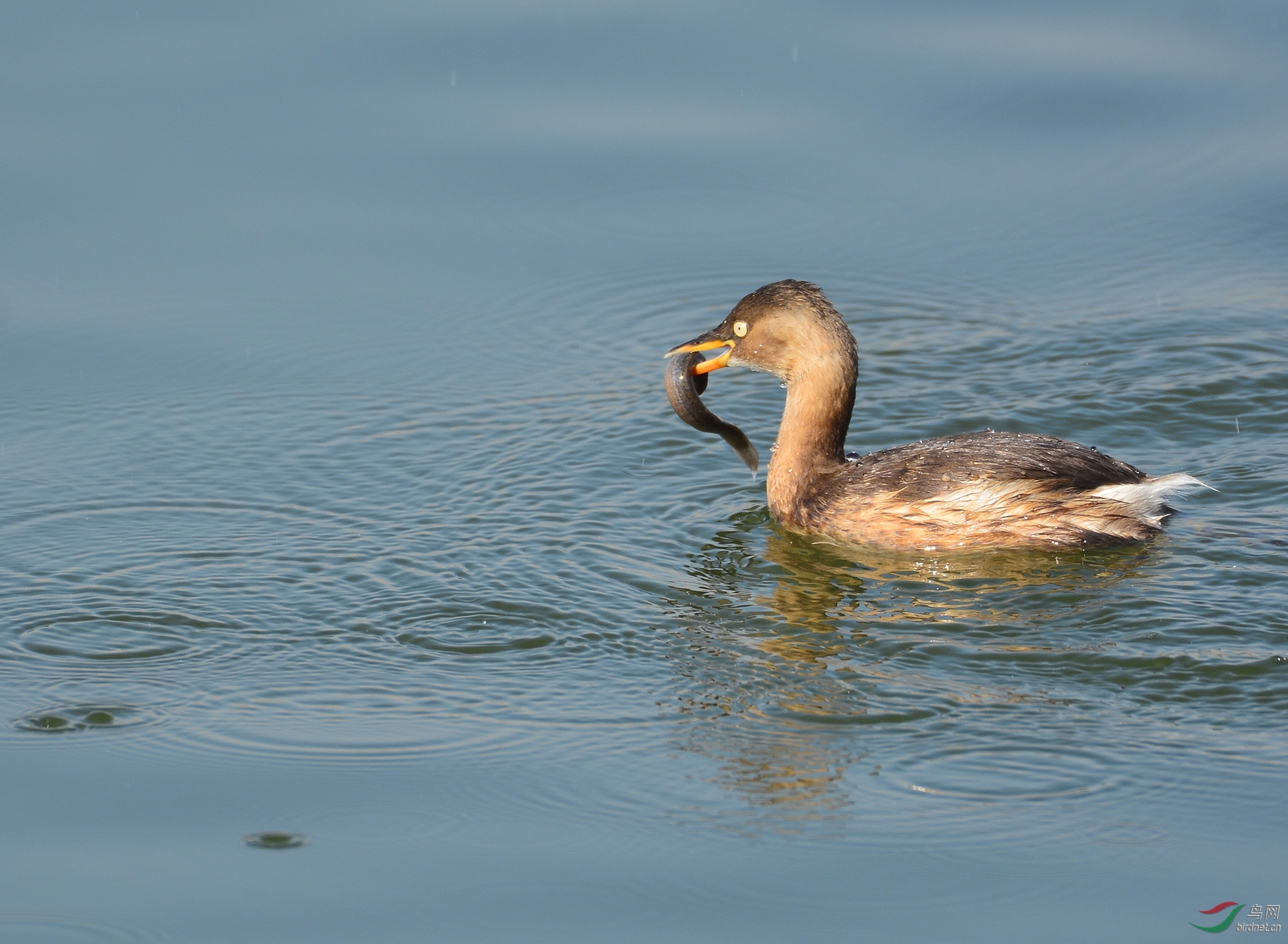 ������Ӱ 1383����.jpg