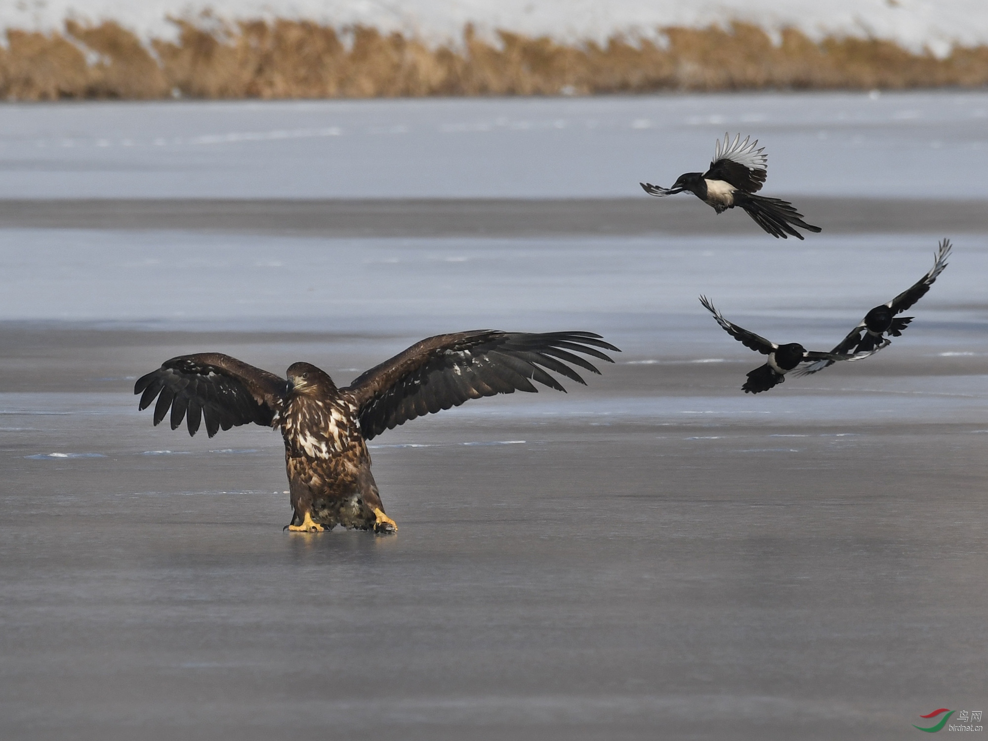 ������Ӱ 240����.jpg