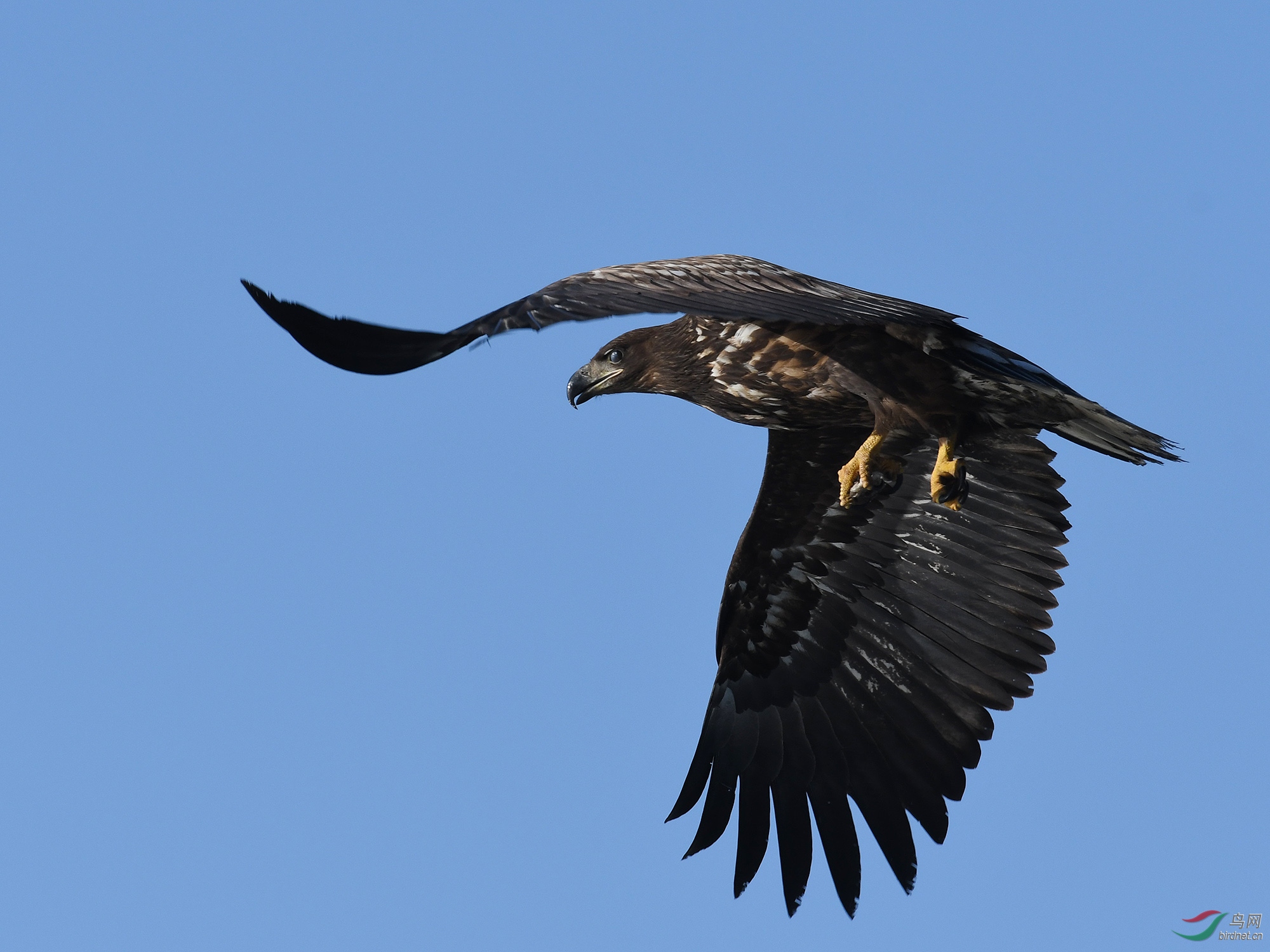 ������Ӱ 375����.jpg