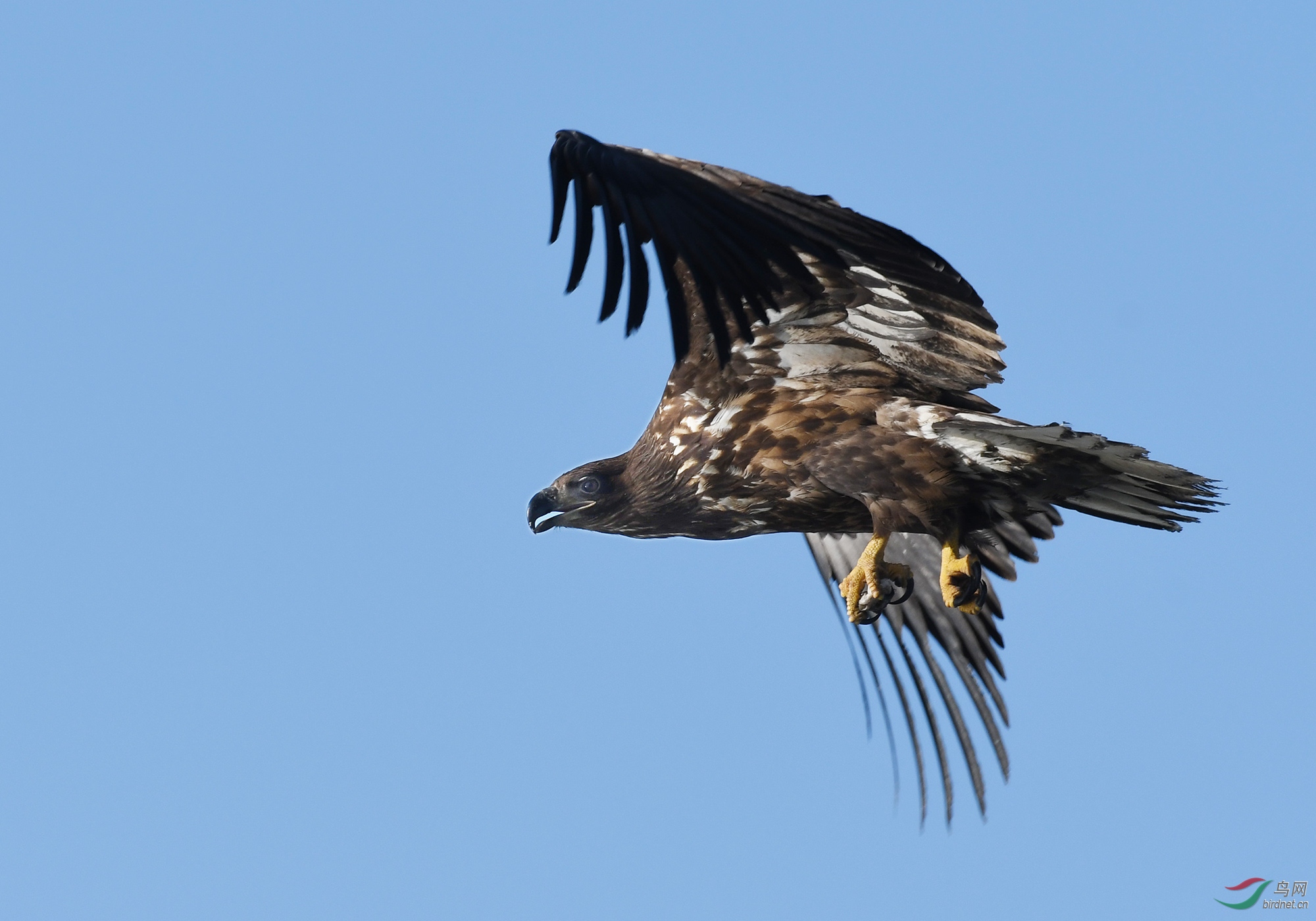 ������Ӱ 376����.jpg