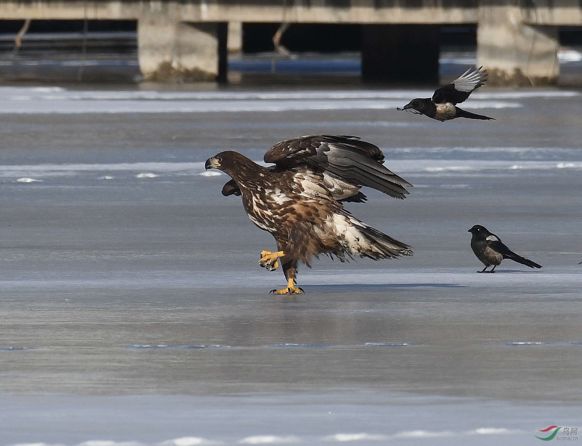 ������Ӱ 196����.jpg