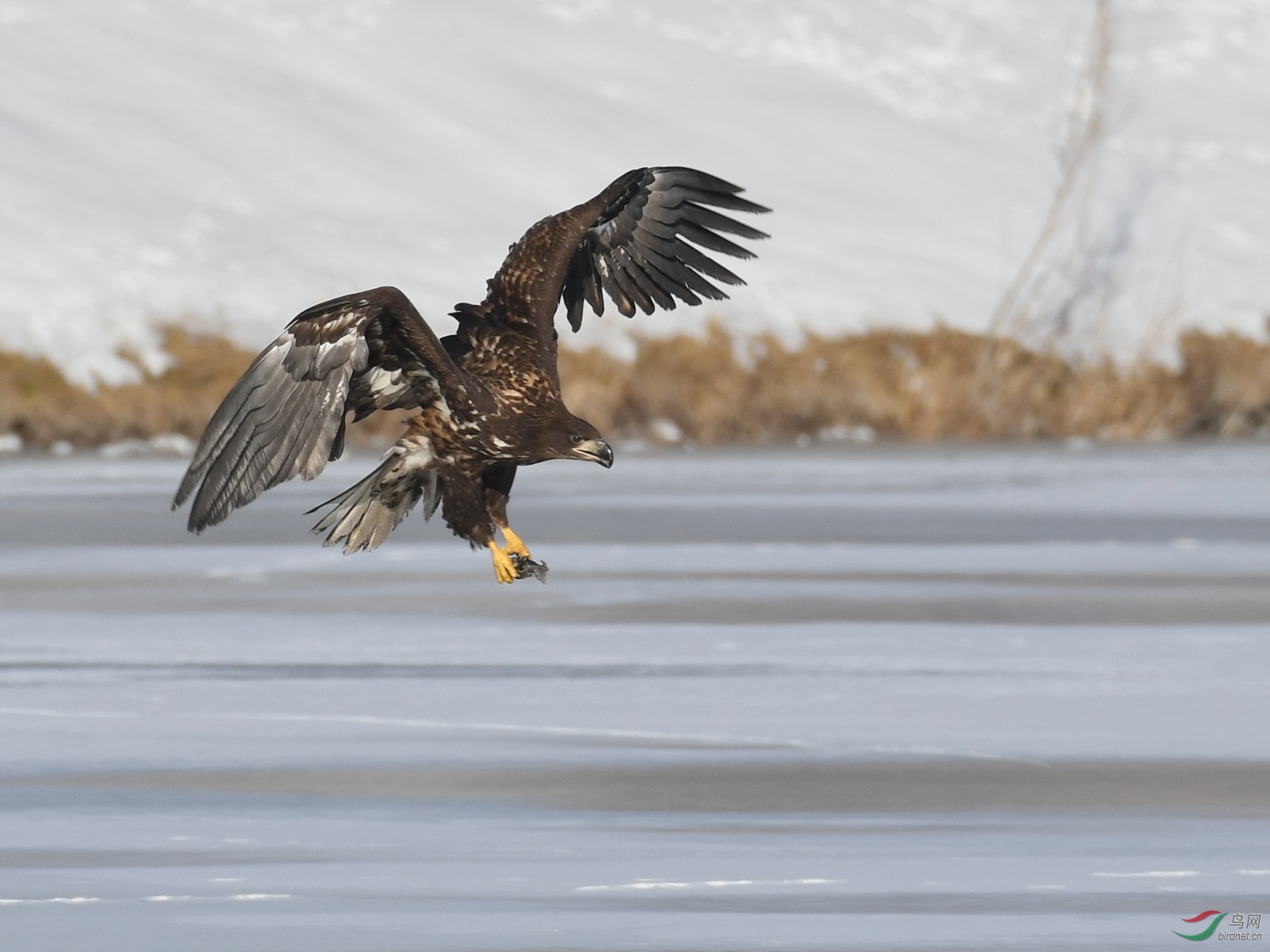 ������Ӱ 226����.jpg