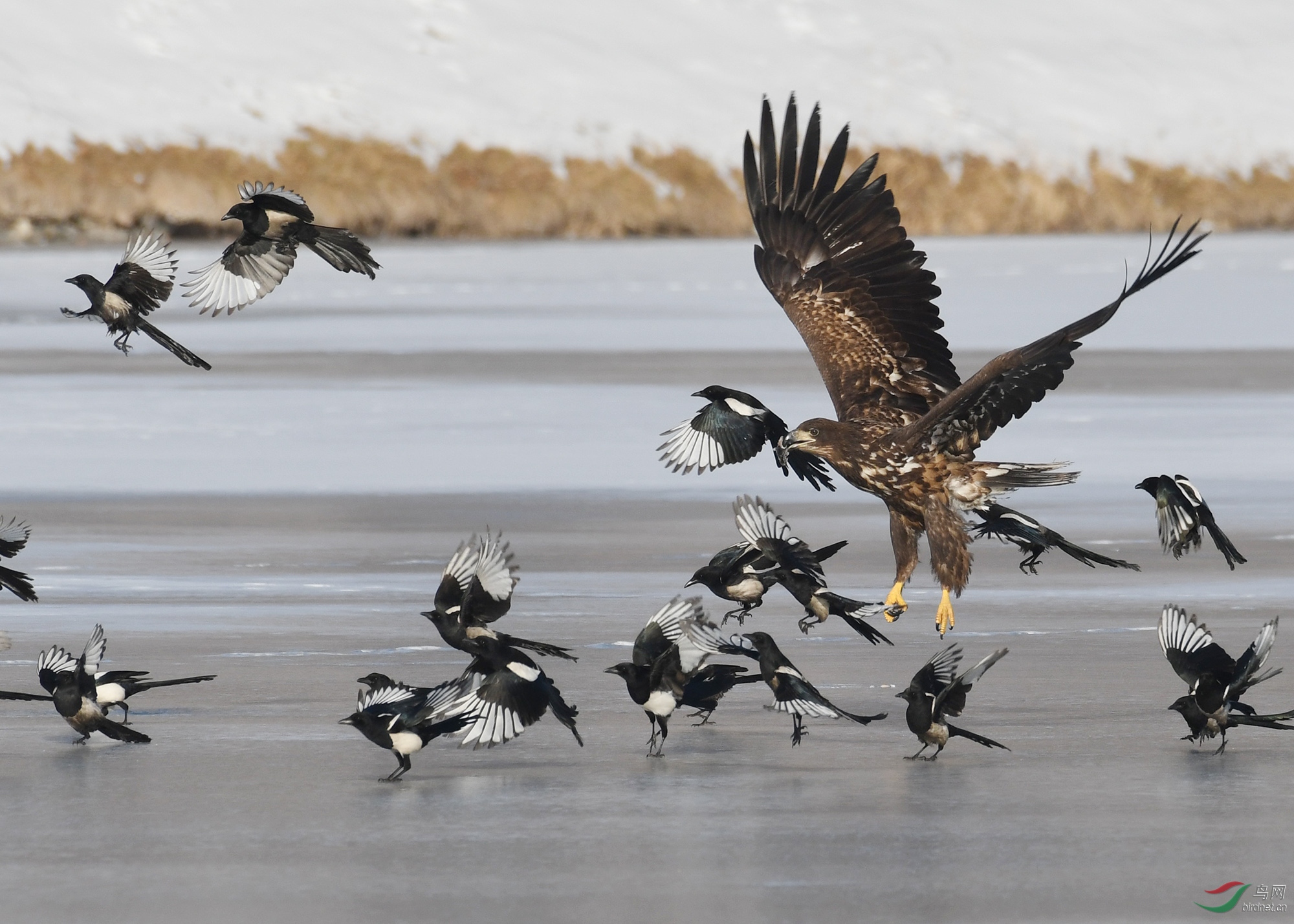 ������Ӱ 315����.jpg