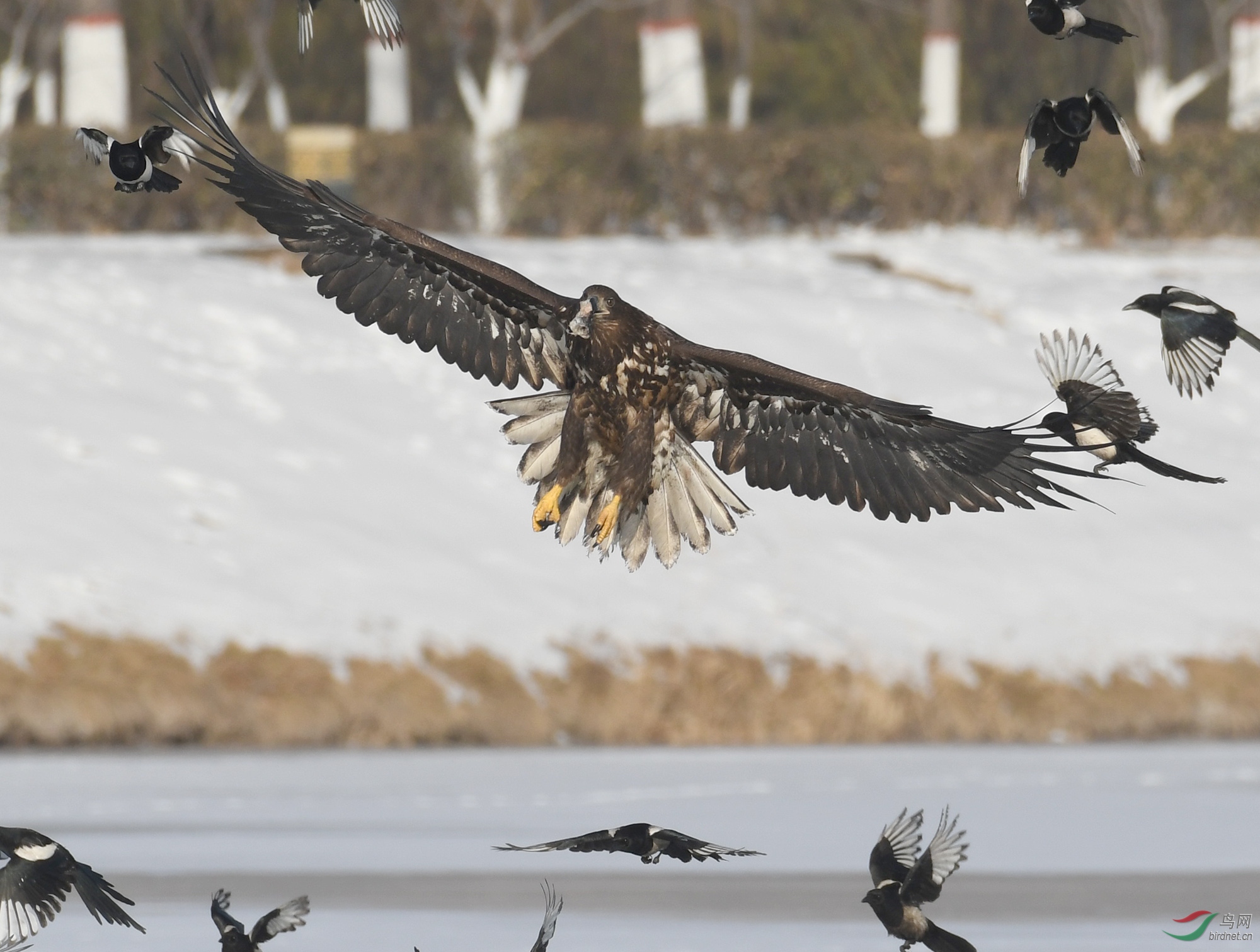 ������Ӱ 328����.jpg