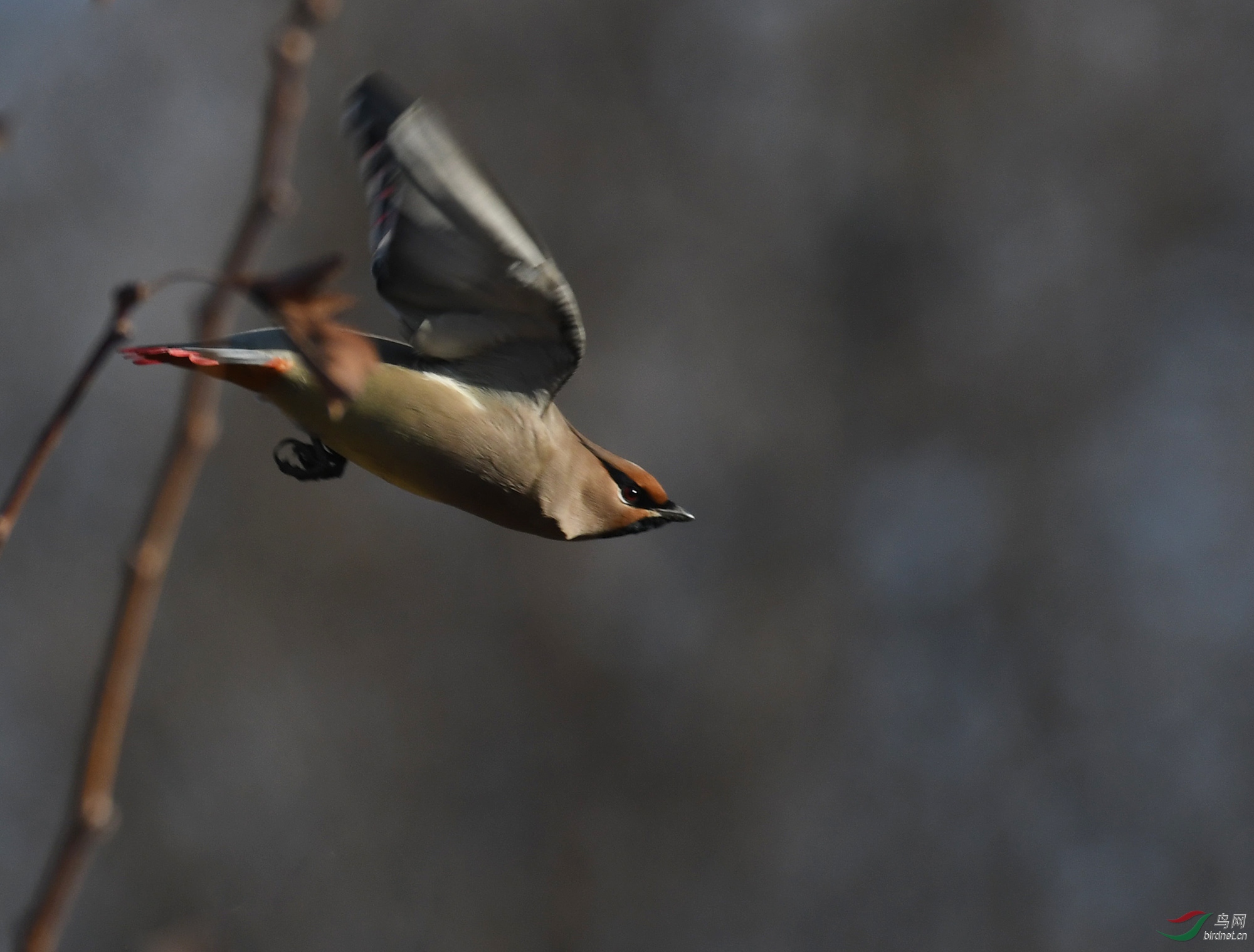 ������Ӱ 1669����.jpg