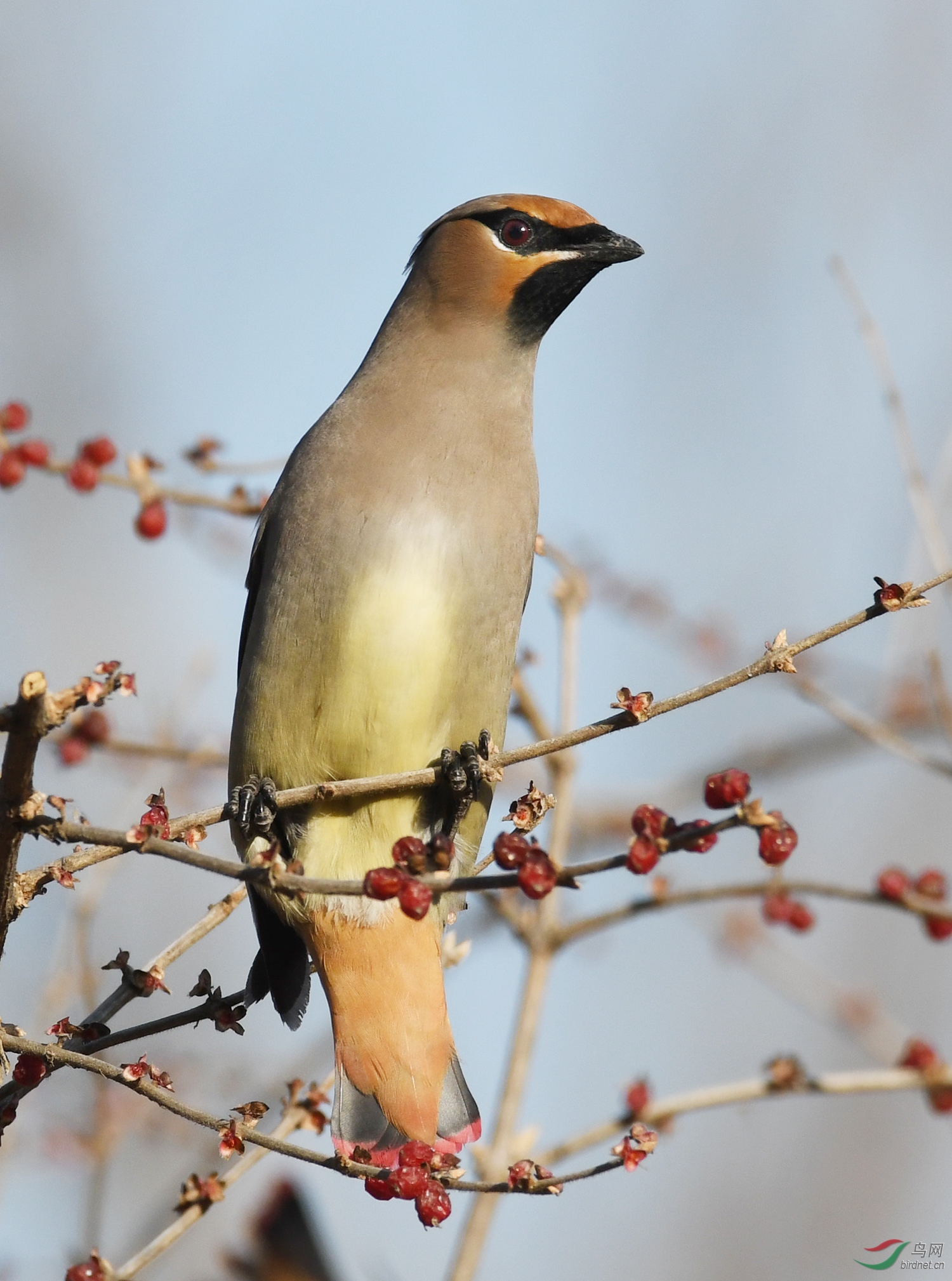 ������Ӱ 1886����.jpg