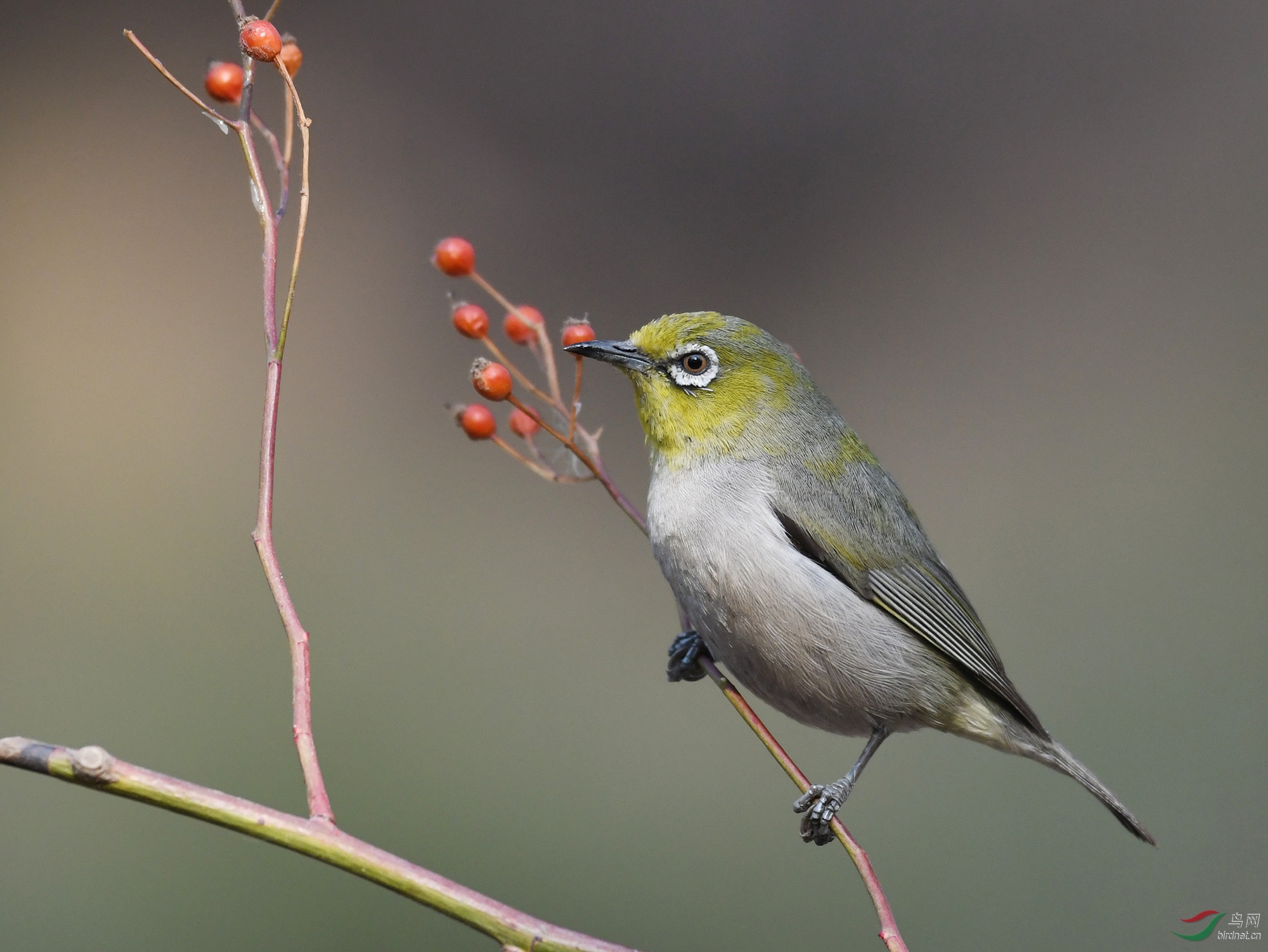 ������Ӱ 923����.jpg