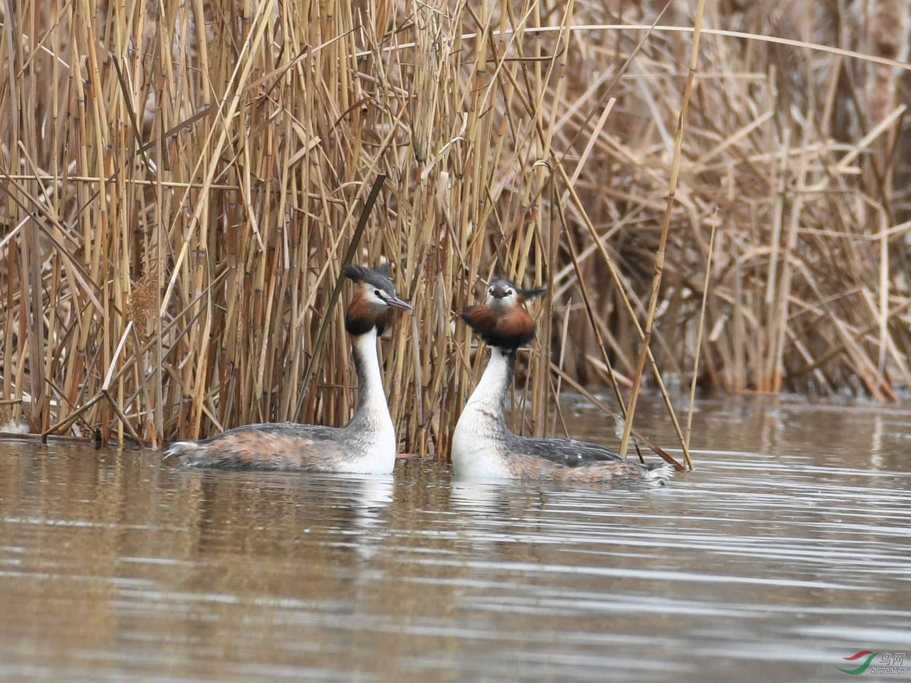 ������Ӱ 031����.jpg