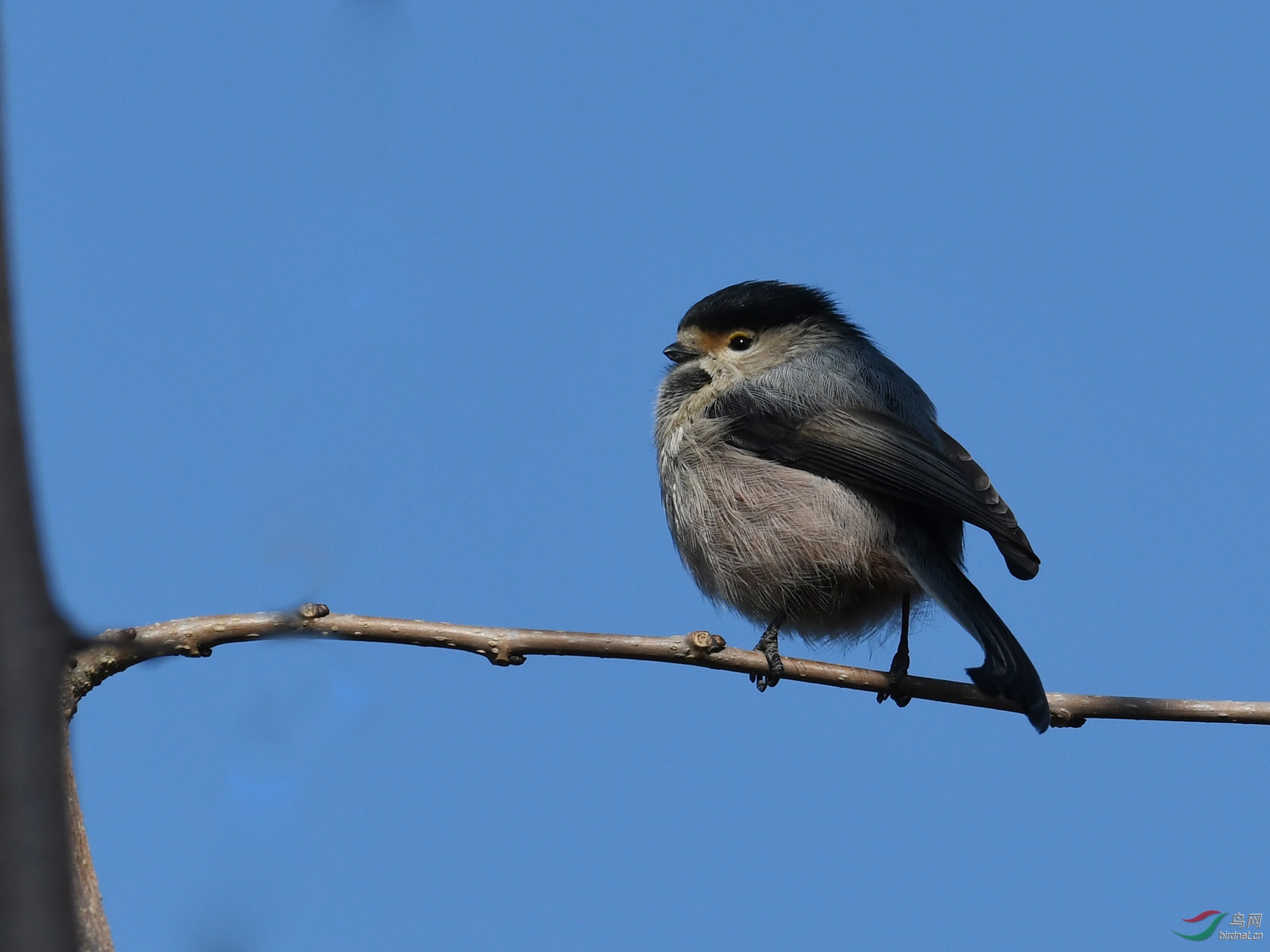 ������Ӱ 450����.jpg