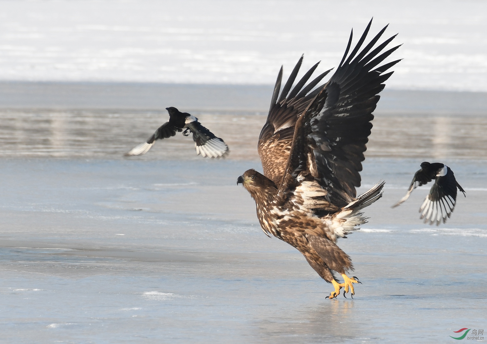 ������Ӱ 632����.jpg