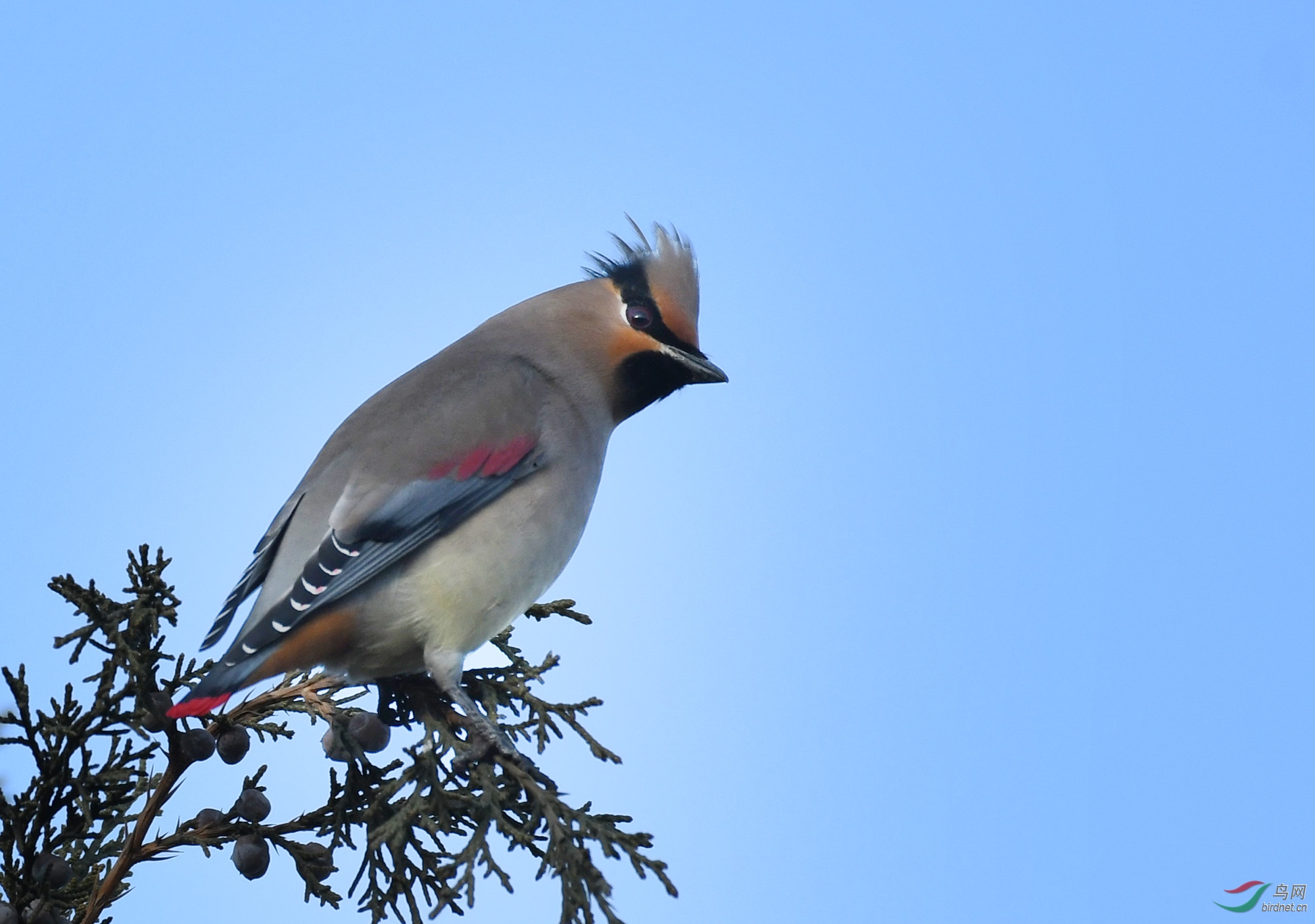 ������Ӱ 928����.jpg