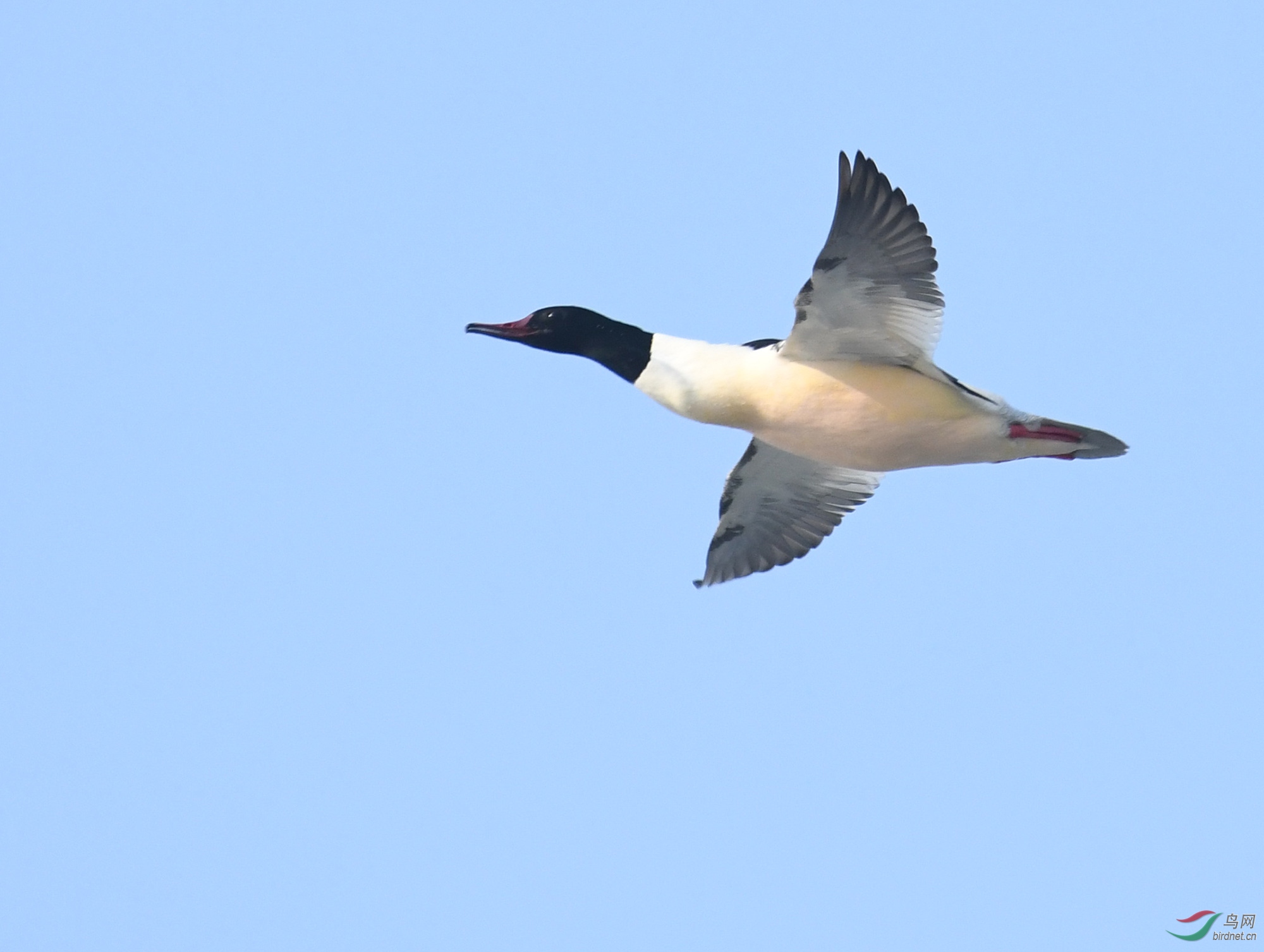 ������Ӱ 304����.jpg