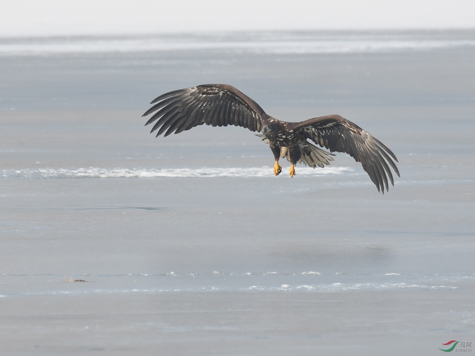 ������Ӱ 346����.jpg