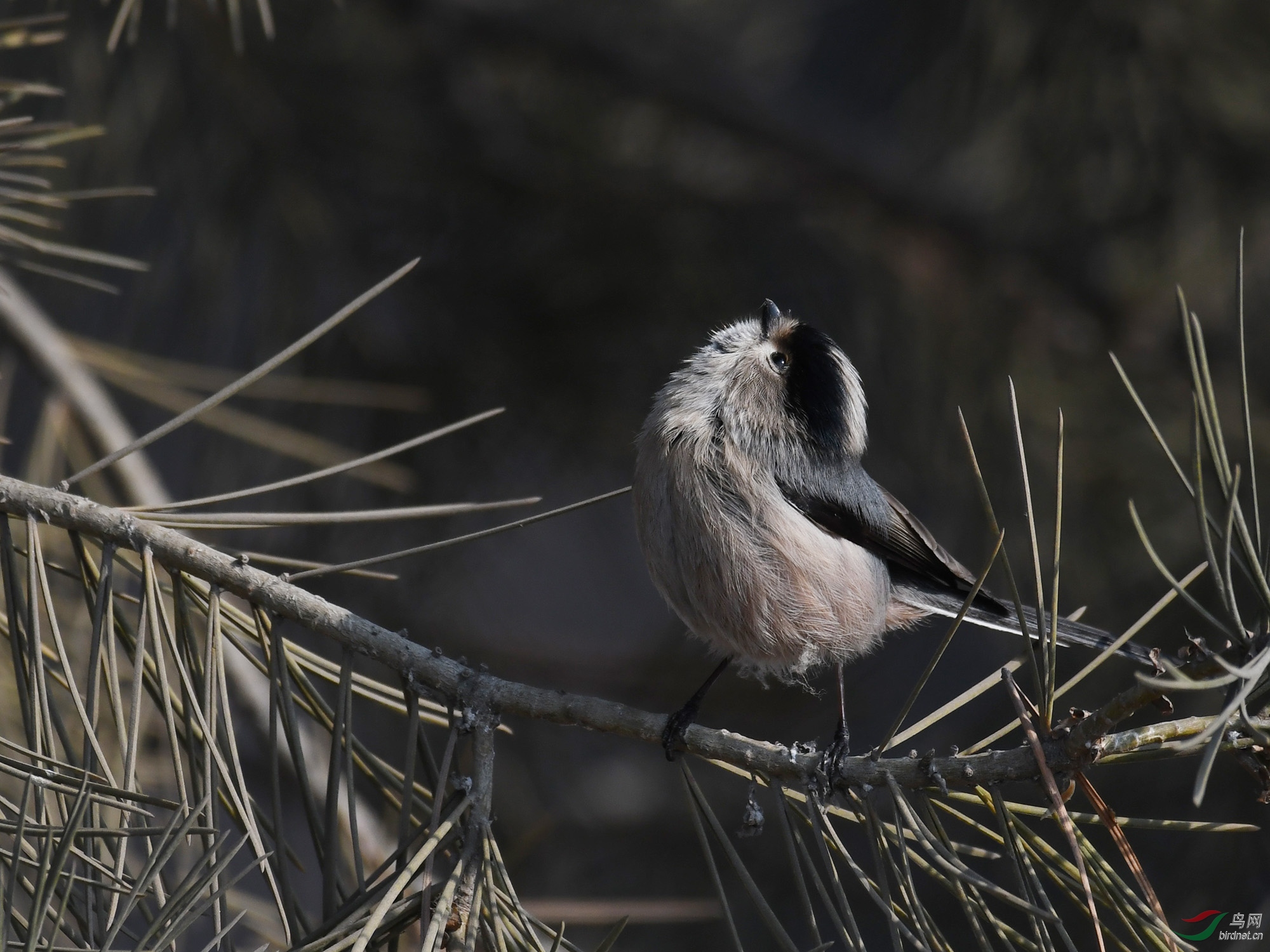 ������Ӱ 488����.jpg