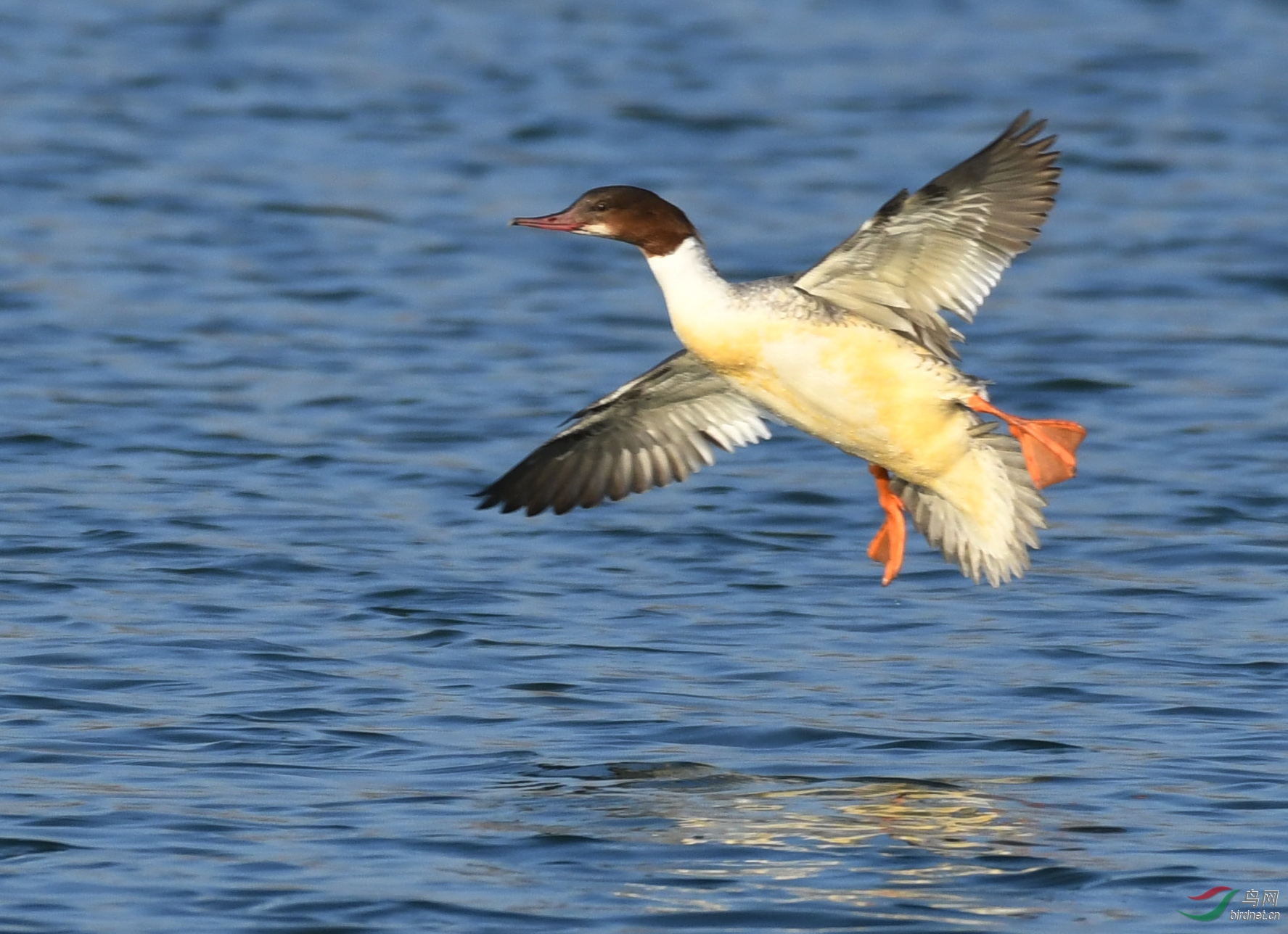 ������Ӱ 632����.jpg