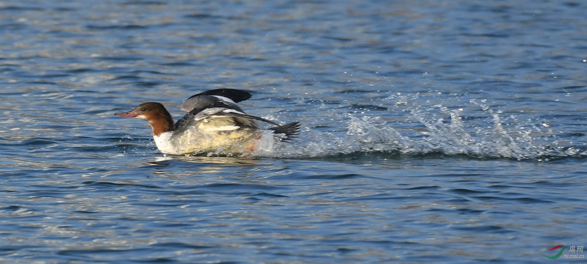 ������Ӱ 642����.jpg