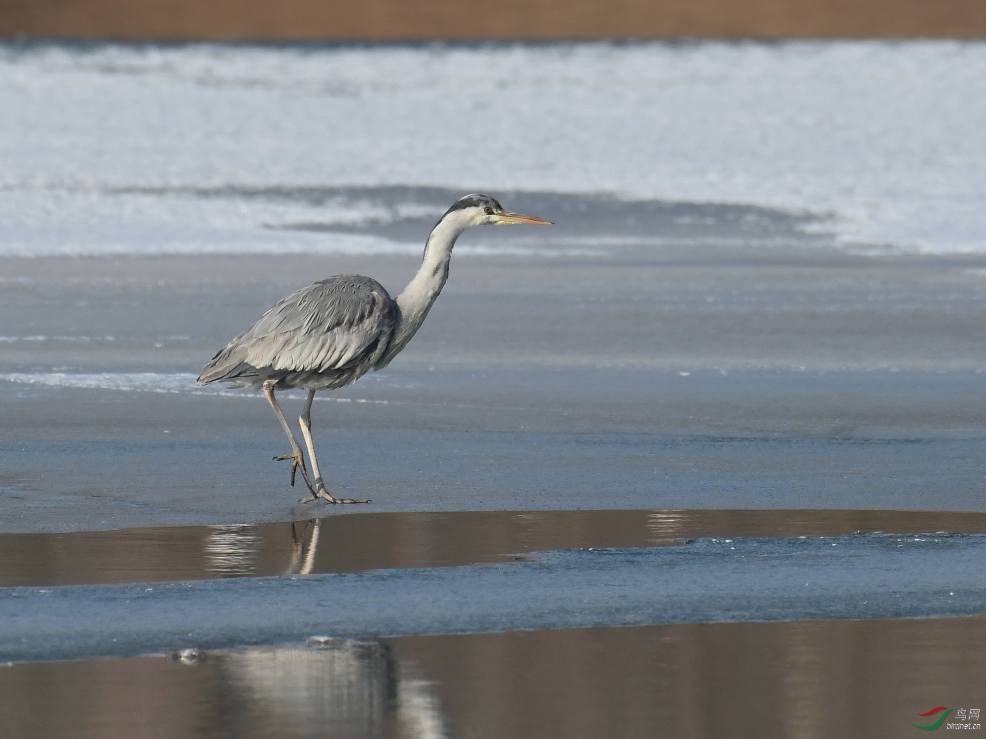 ������Ӱ 858����.jpg