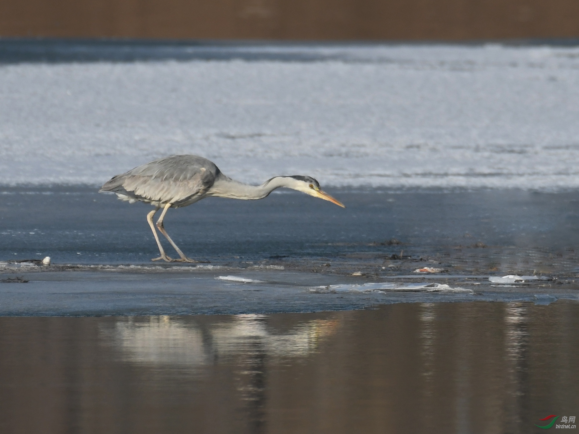 ������Ӱ 874����.jpg