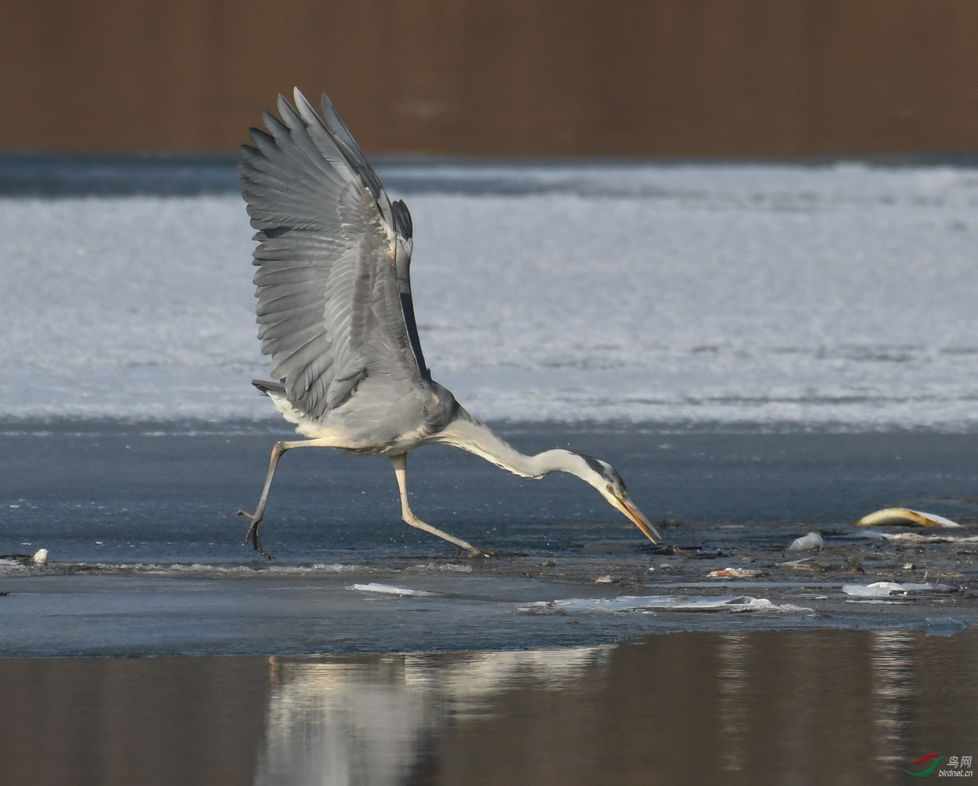 ������Ӱ 878����.jpg