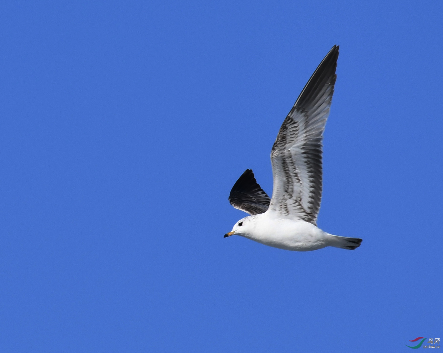 ������Ӱ 927����.jpg