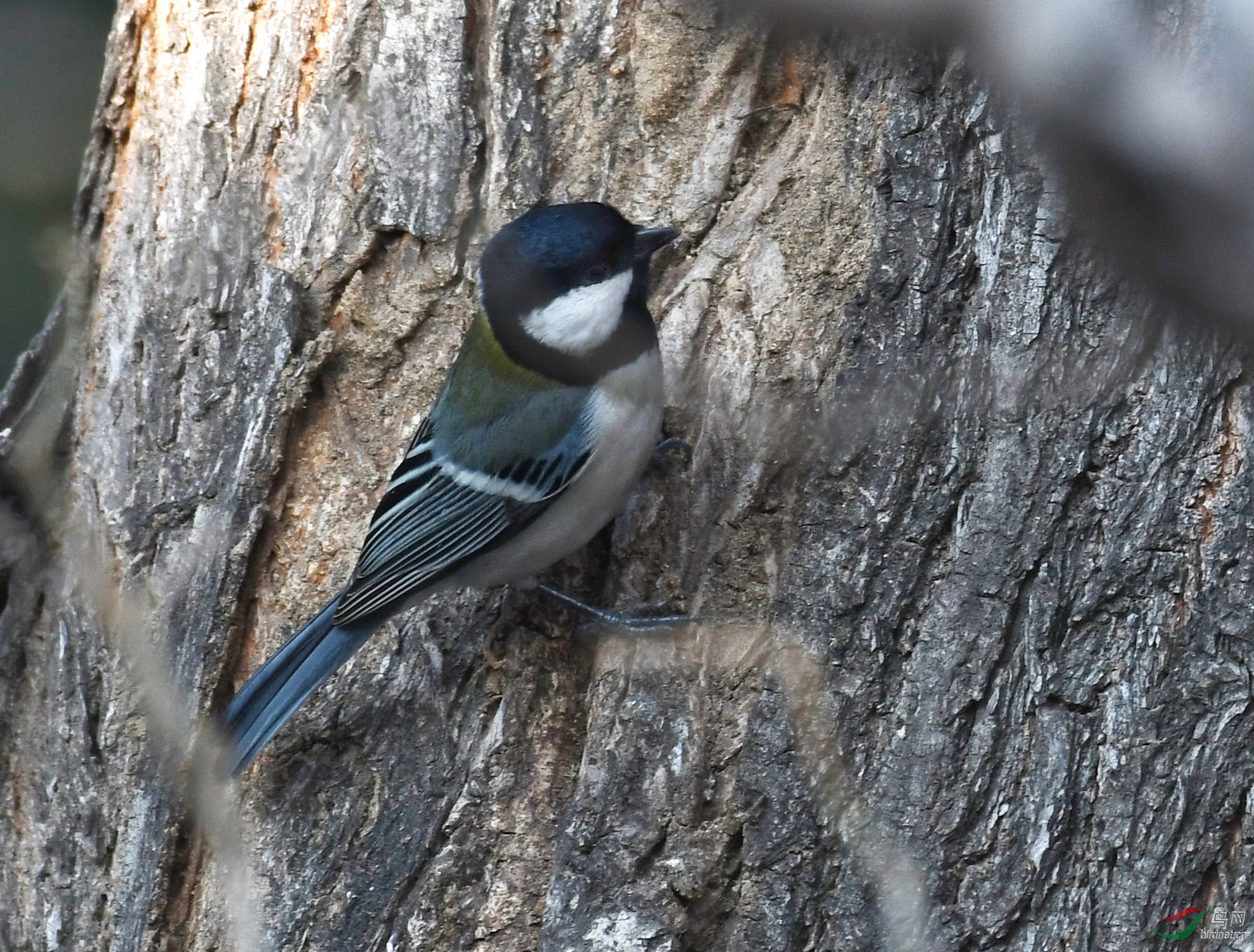 ������Ӱ 1049����.jpg