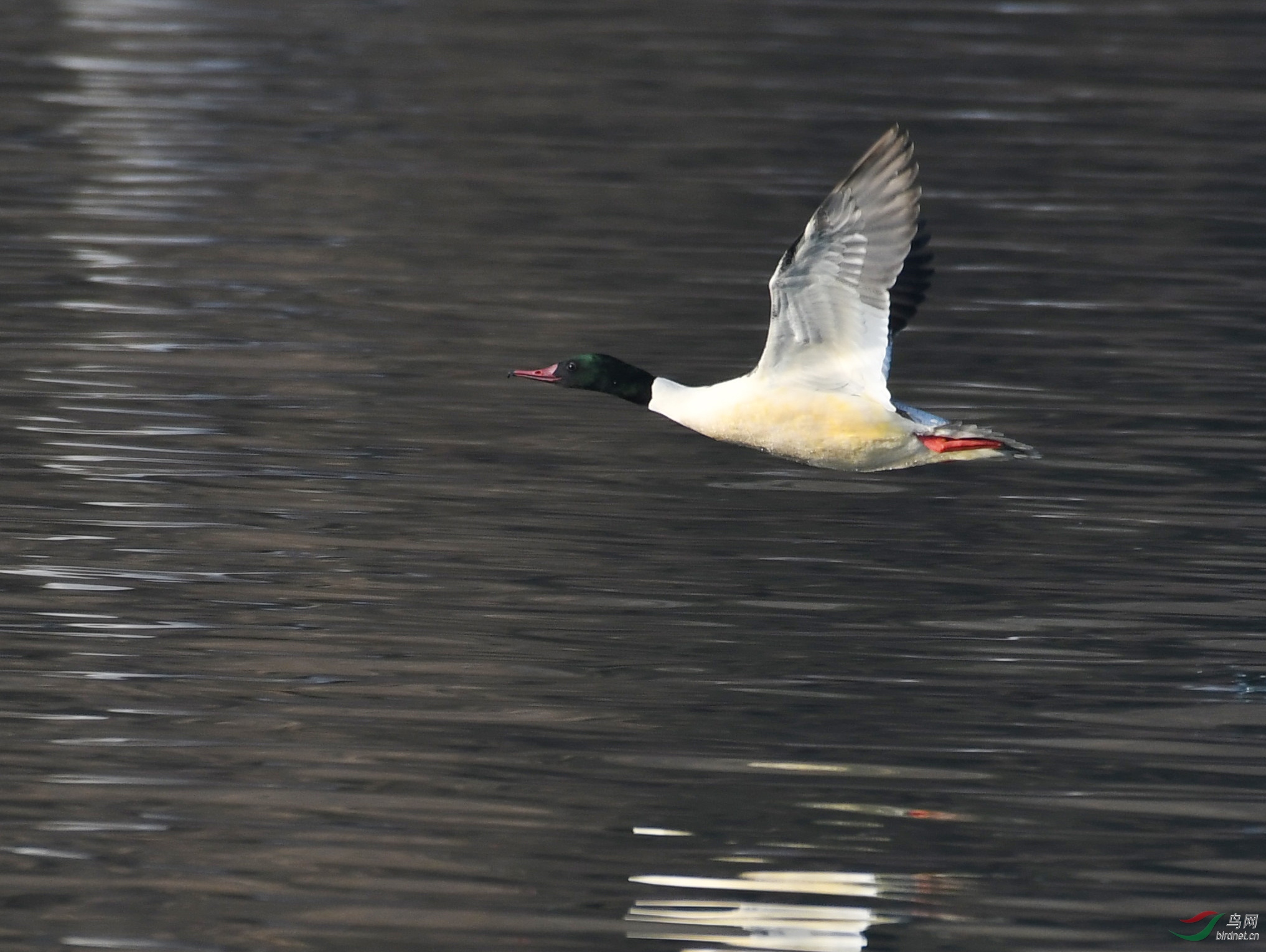 ������Ӱ 1093����.jpg