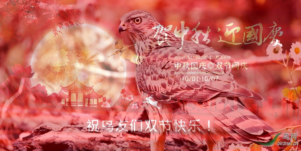 213548yv5b58rzzao5k42x_����.jpg