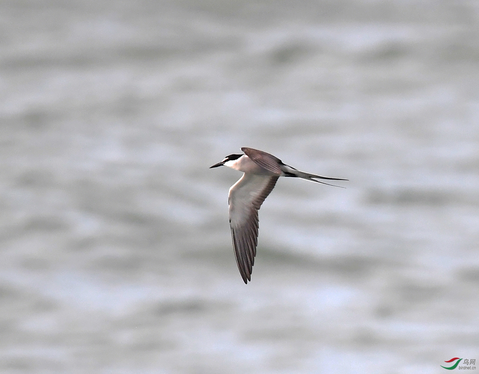 ����ϸ��  ��ʦ�����ڹ㶫ʡ��ͷ���ϰ���.jpg