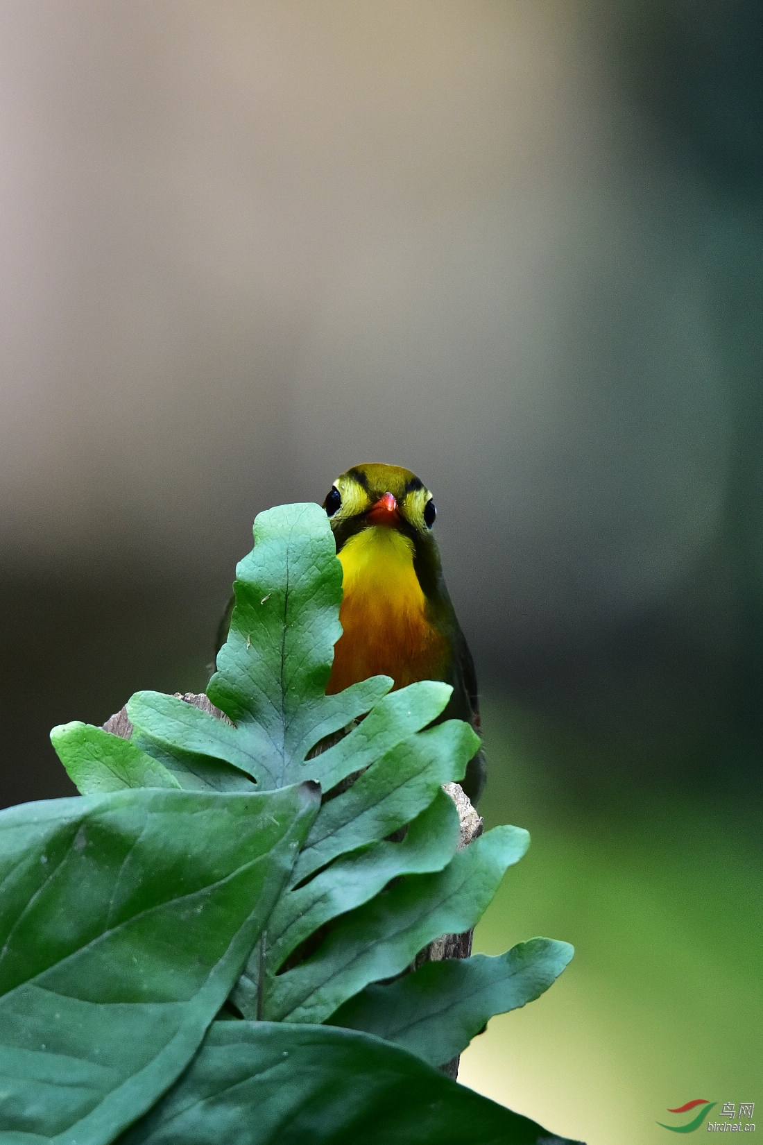 DSC_1249.JPG
