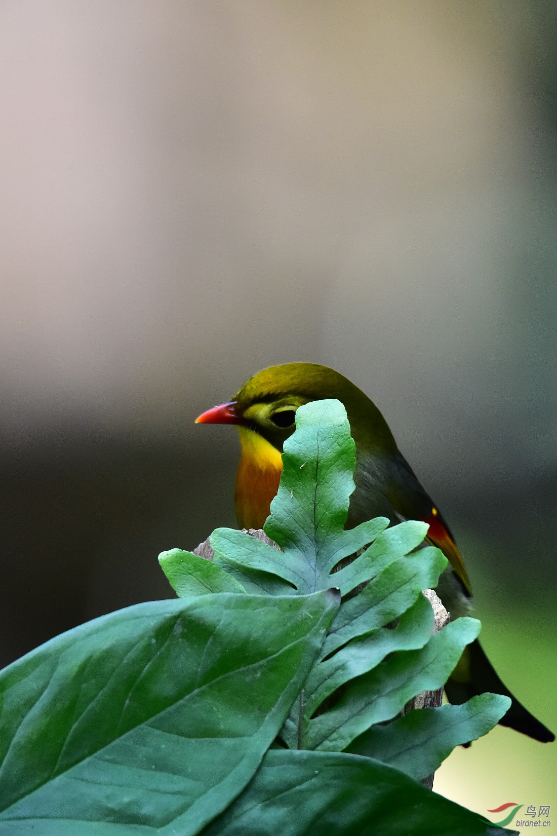DSC_1256.JPG