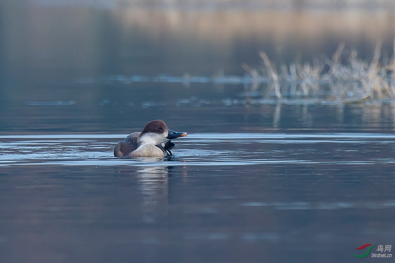 2 - ����.jpg