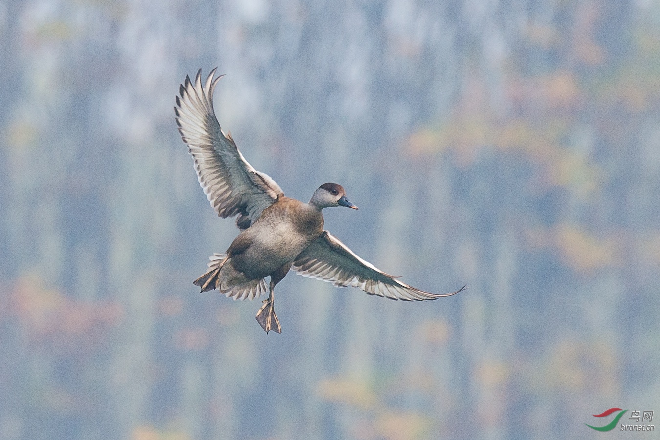 4 - ����.jpg