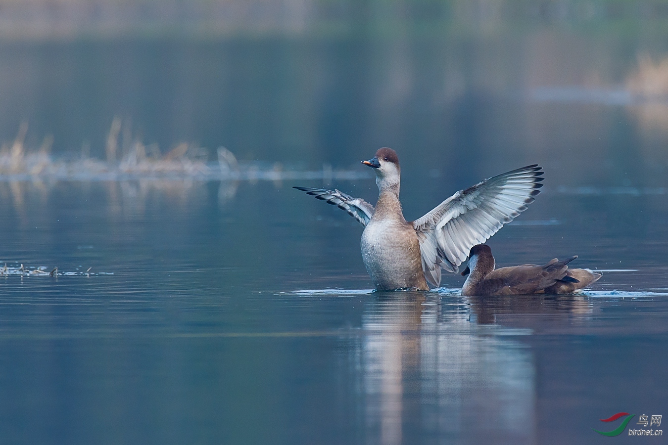 6 - ����.jpg