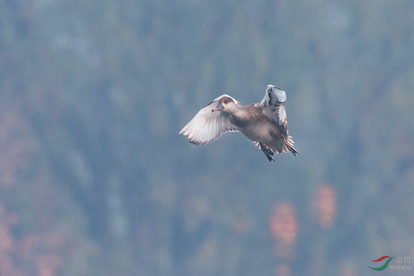 9 - ����.jpg