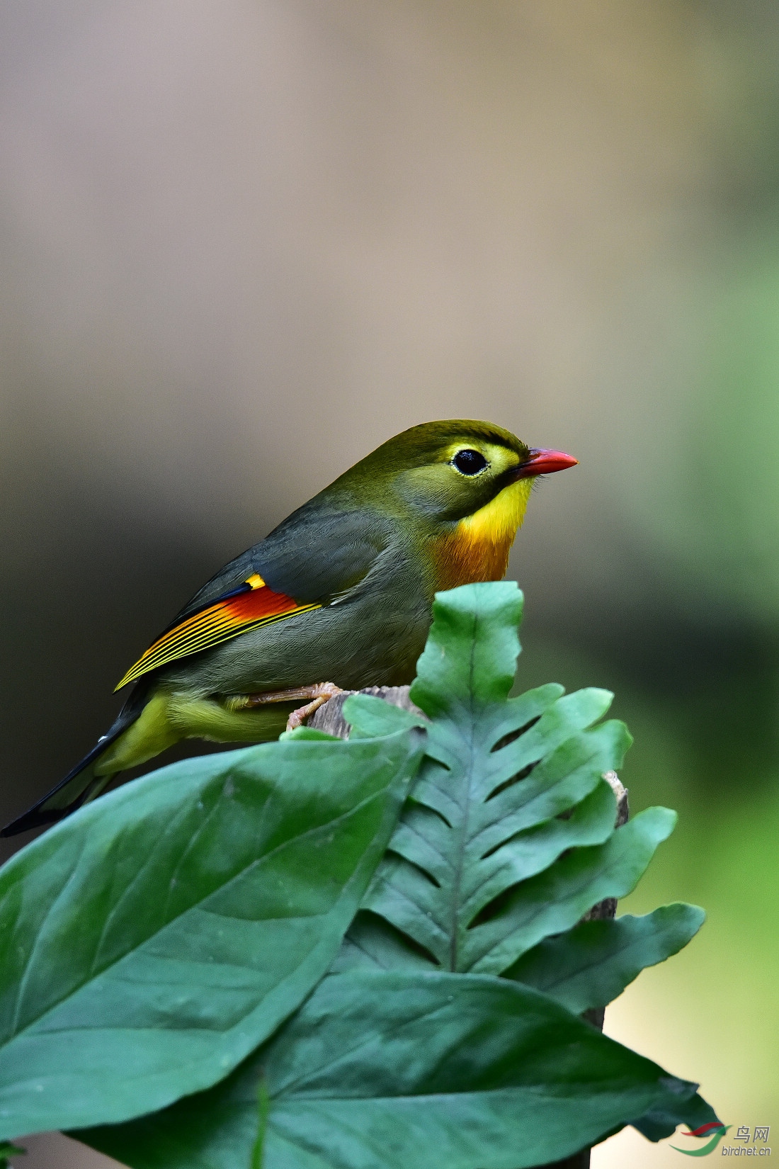 DSC_1267.JPG