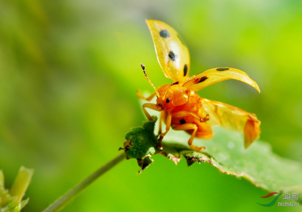 DSC_0763 ��������.jpg