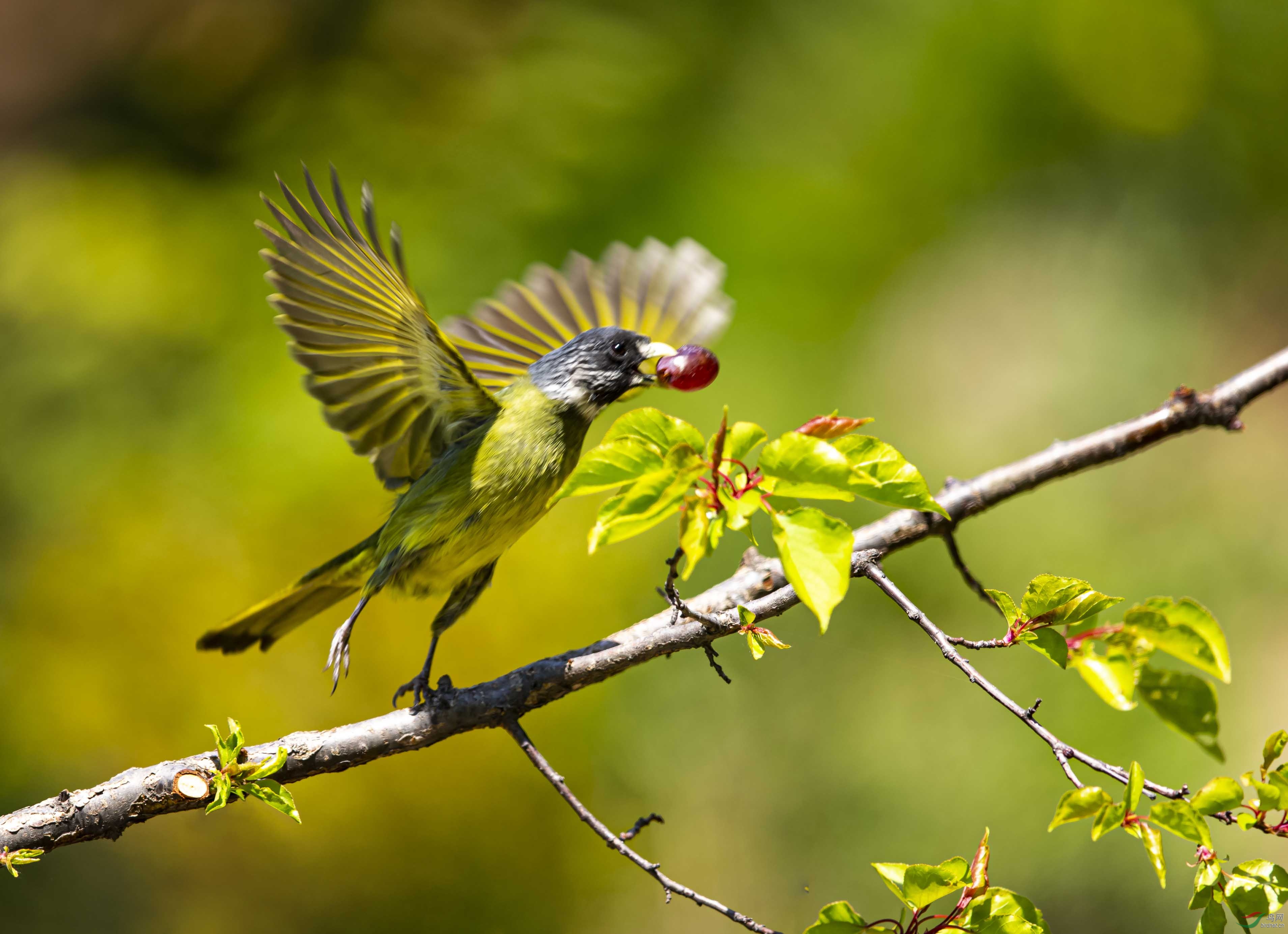 BG5R7445-1.jpg