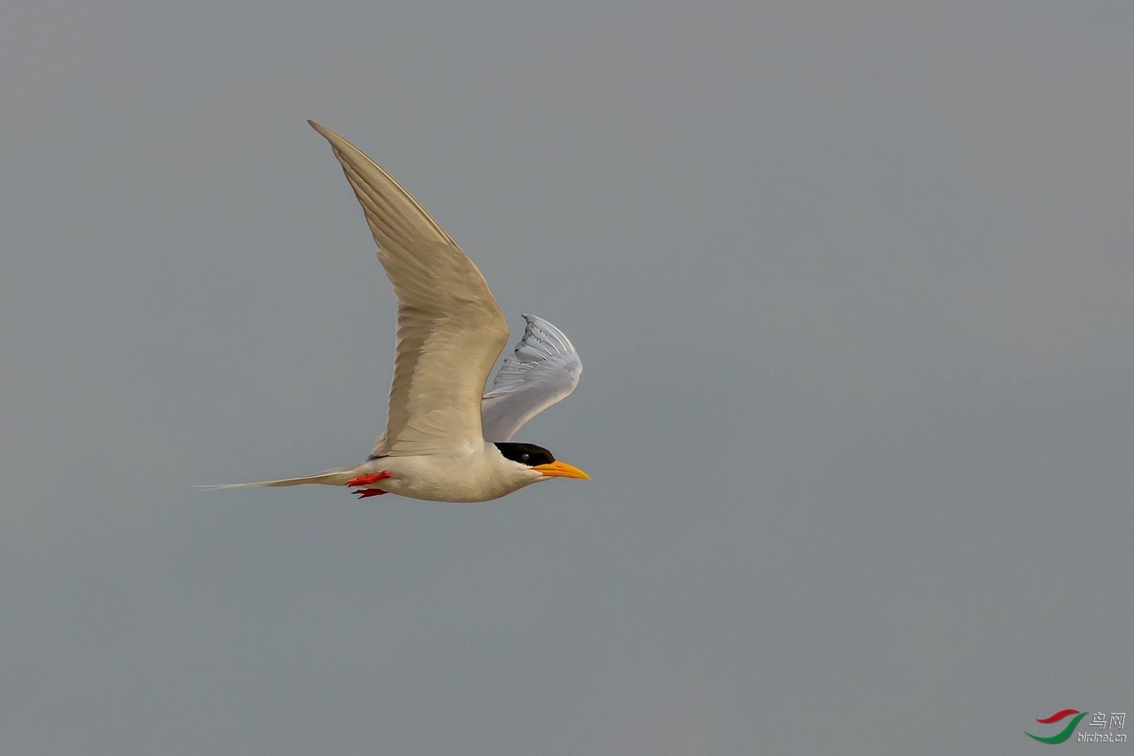 �Ŀ� ��ʦ����.jpg