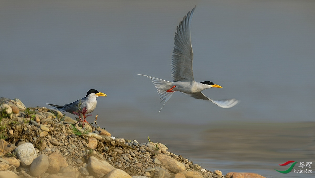 ֪������ ��ʦ����.jpg