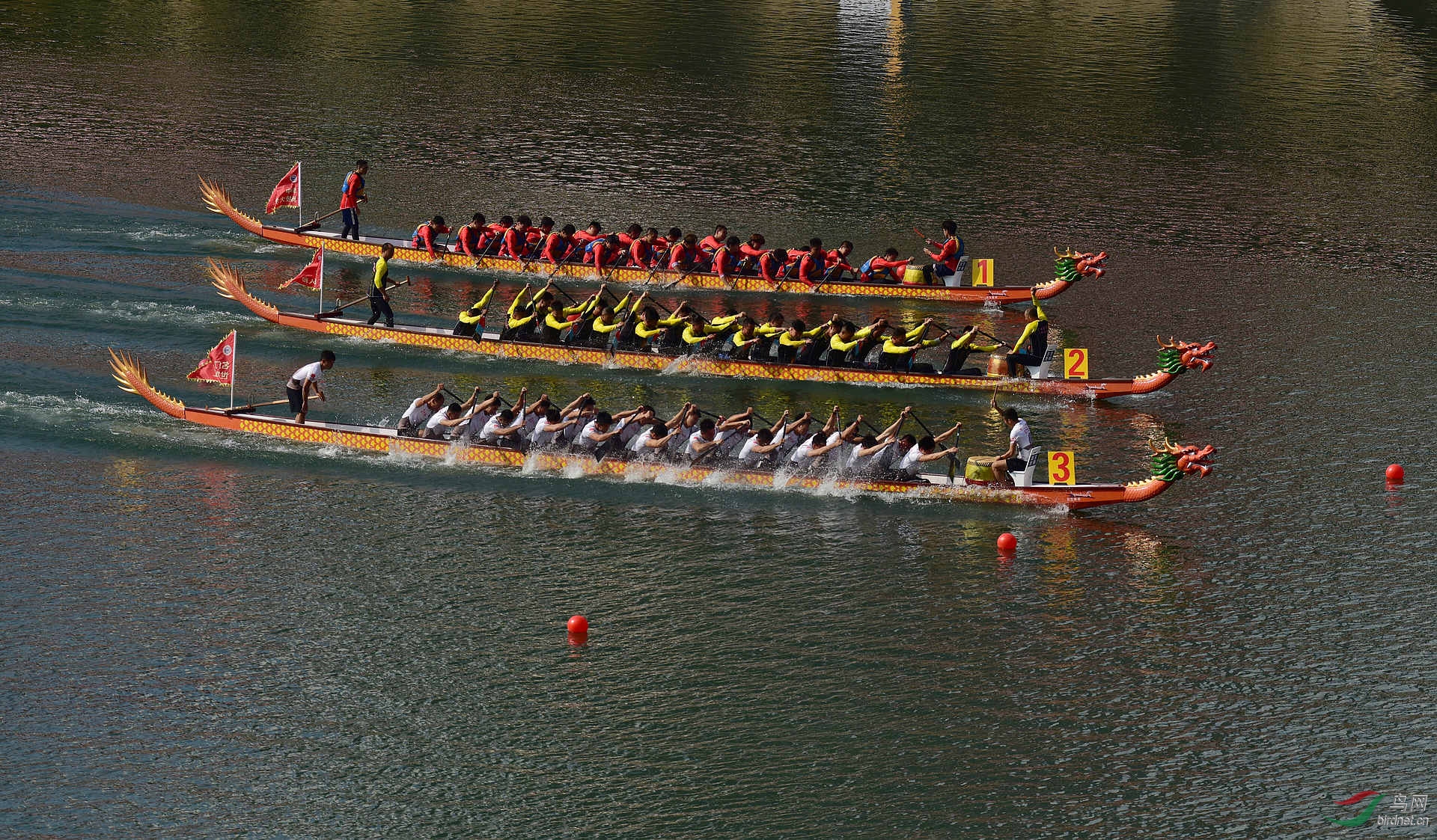 D8I_5709.jpg