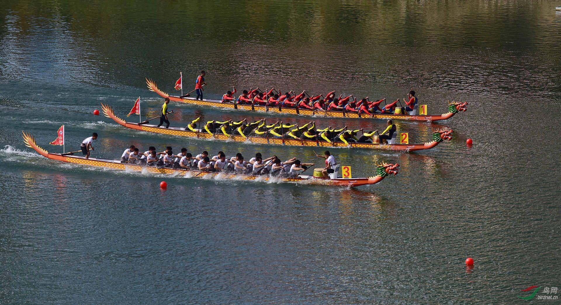 D8I_5704.jpg