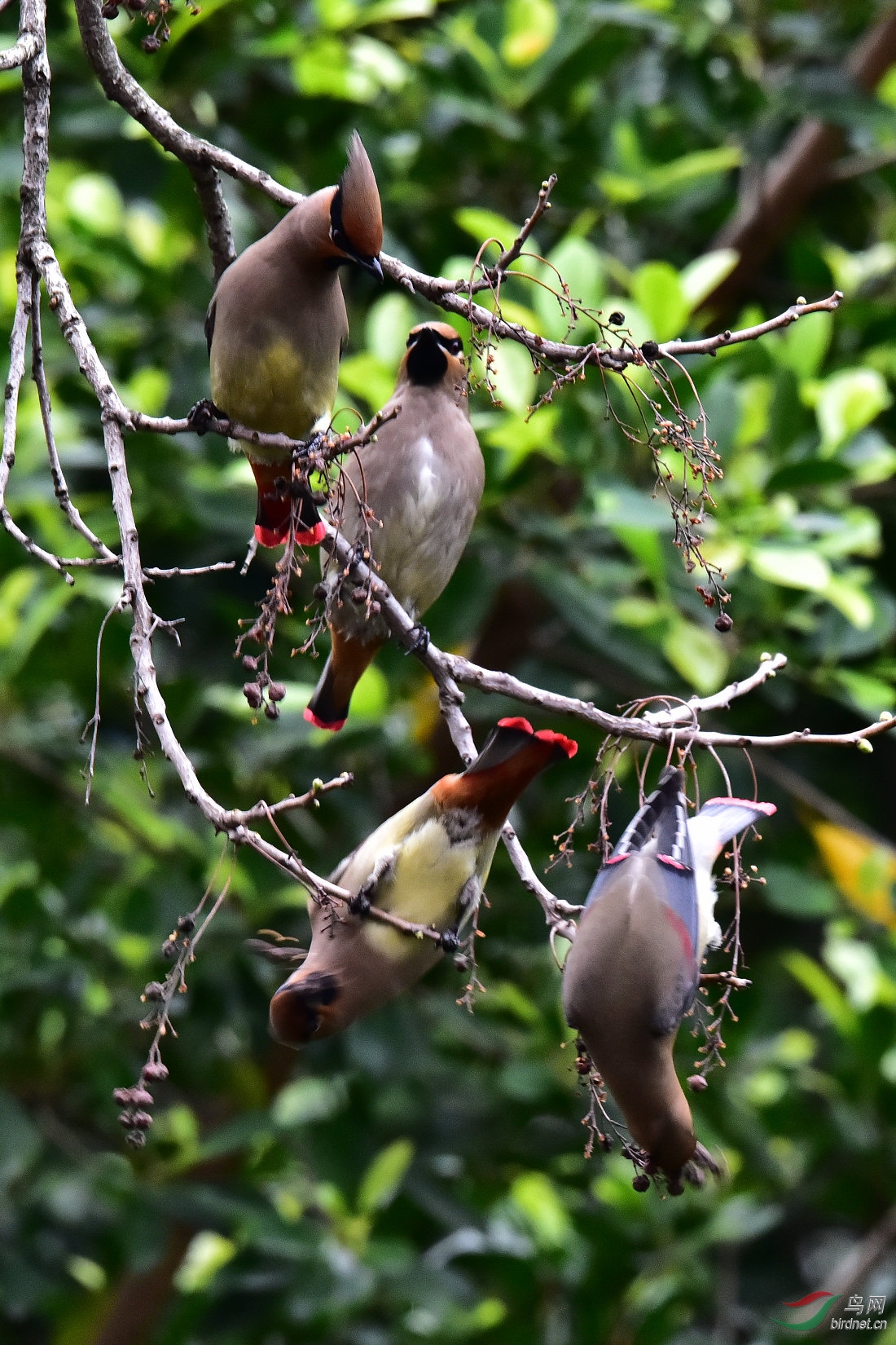 DSC_1289.JPG