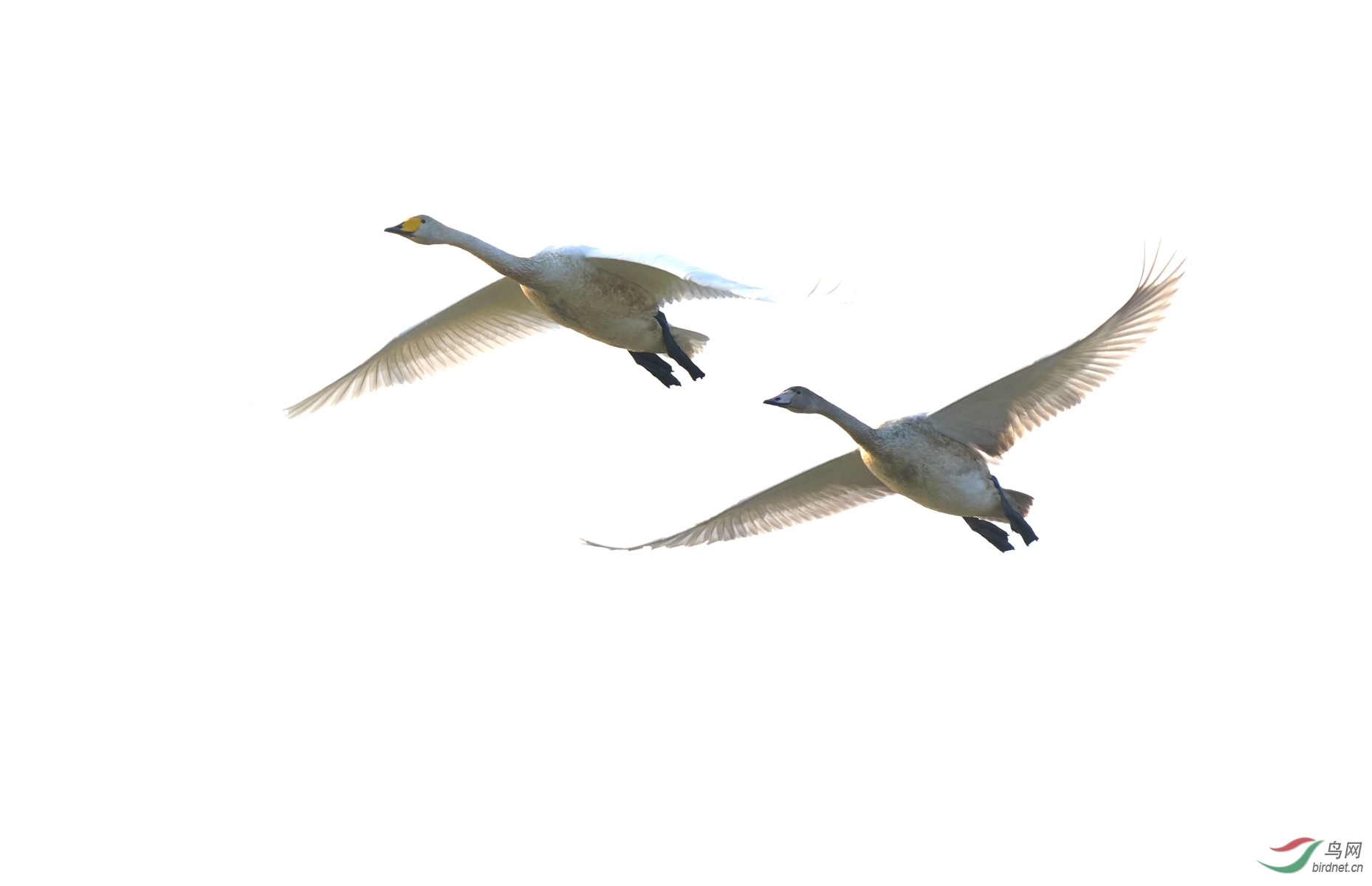 1 DSC03190_����.jpg