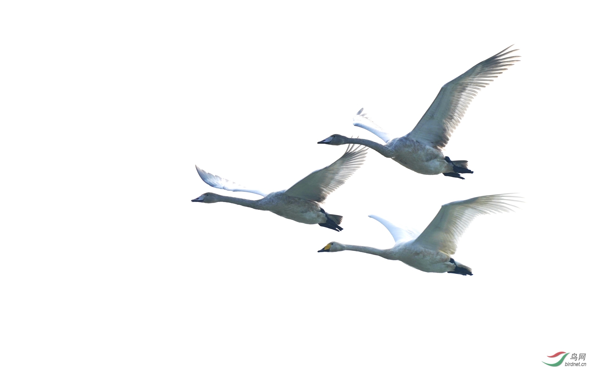 1 DSC03940_����.jpg